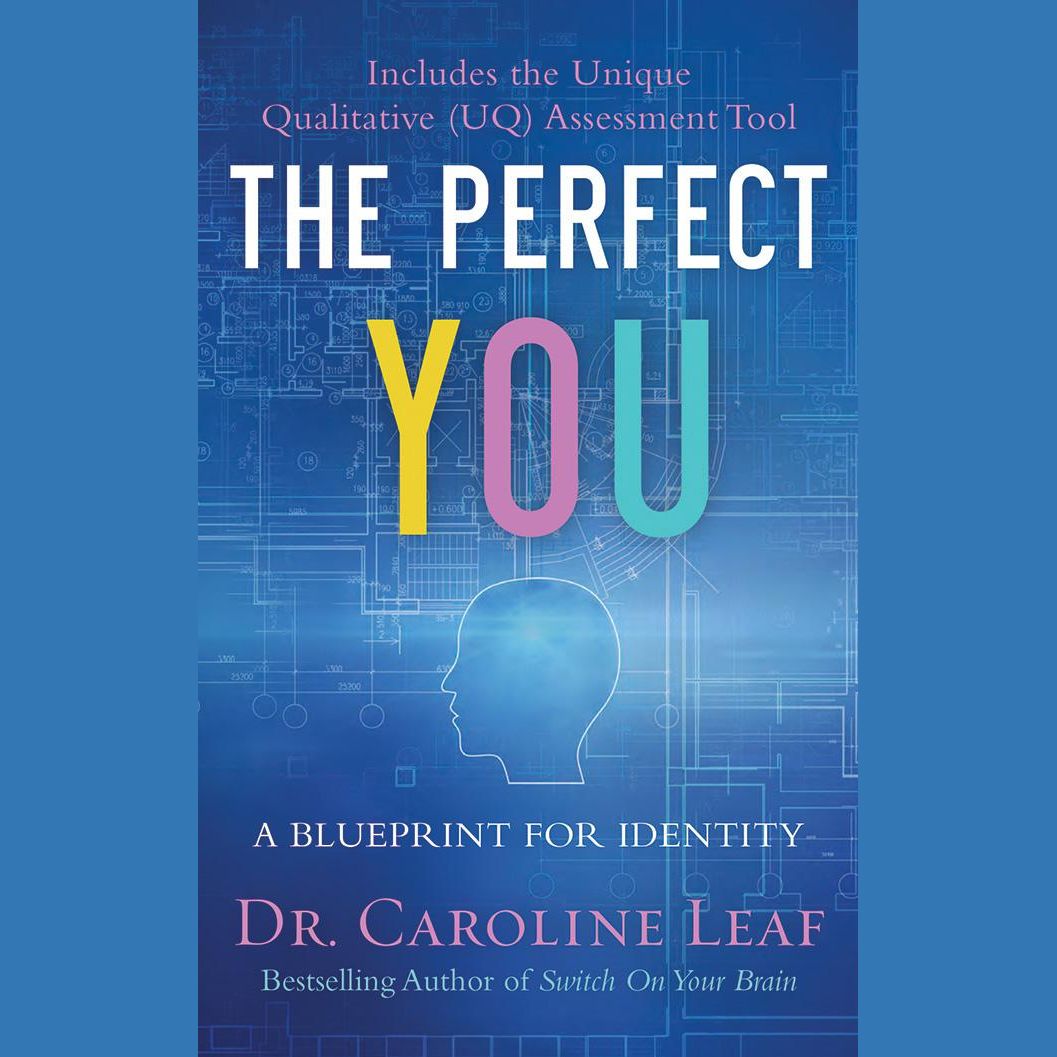 The Perfect You