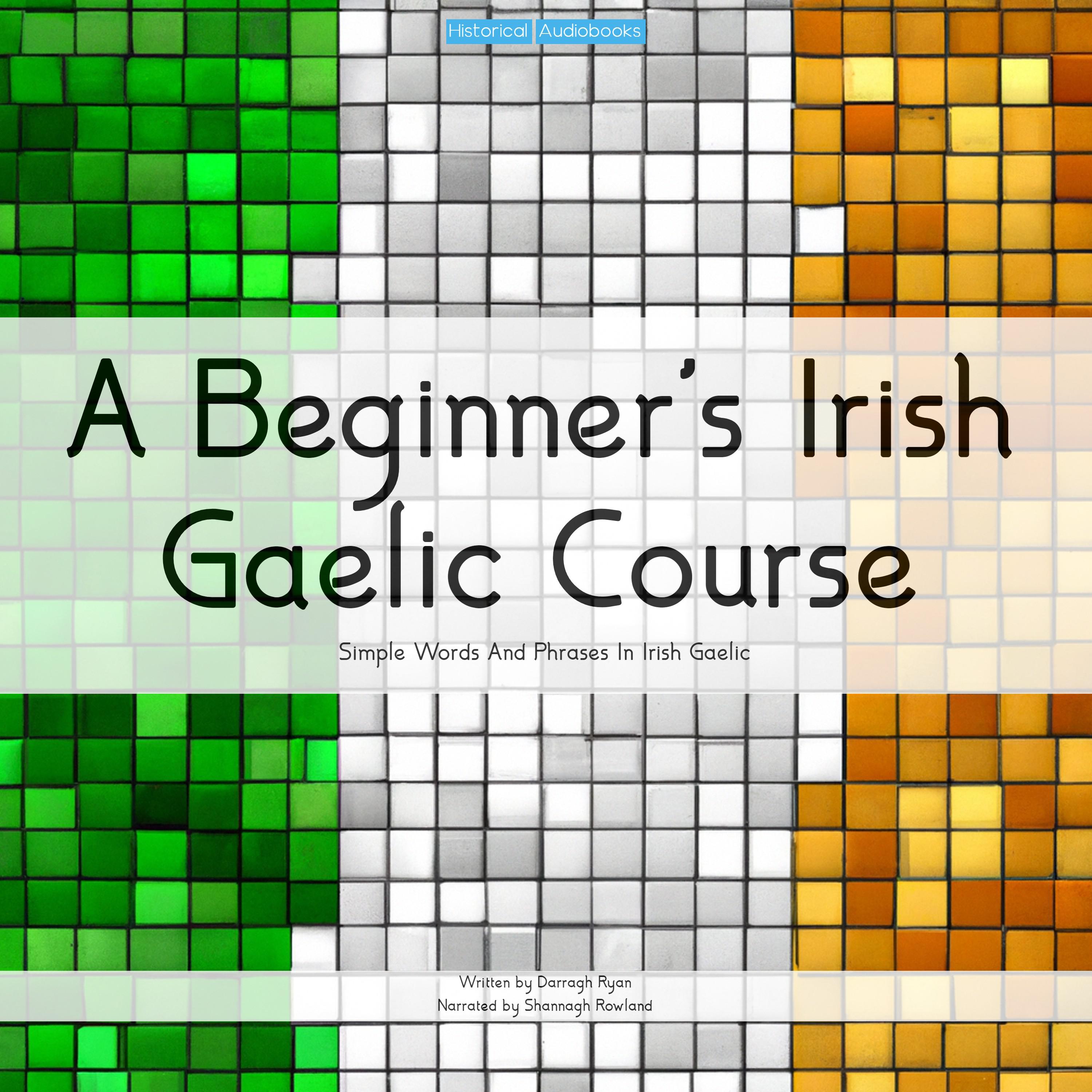 A Beginner's Irish Gaelic Course