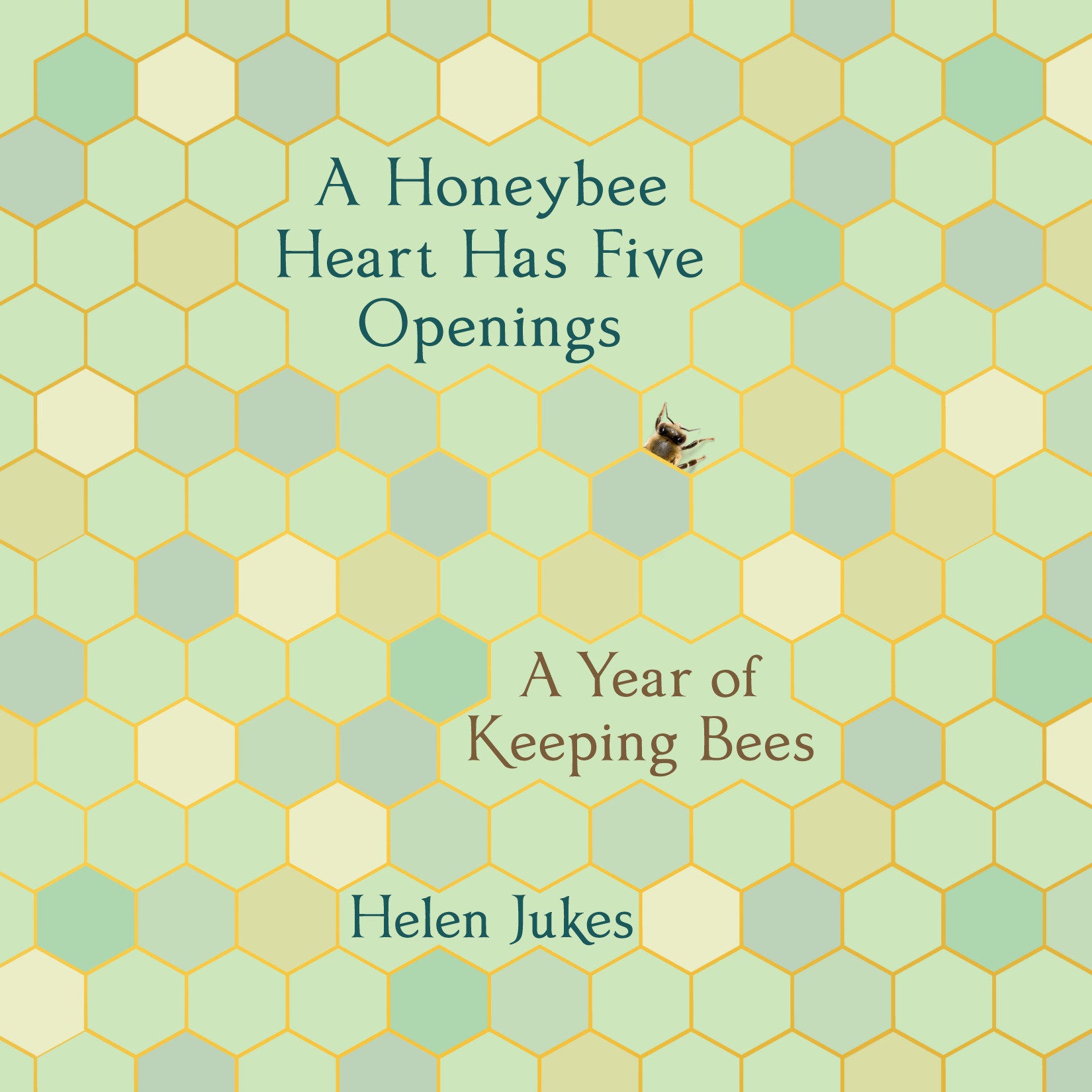 A Honeybee Heart Has Five Openings