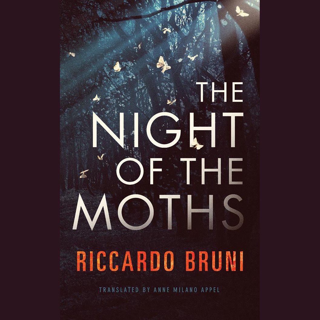 The Night of the Moths
