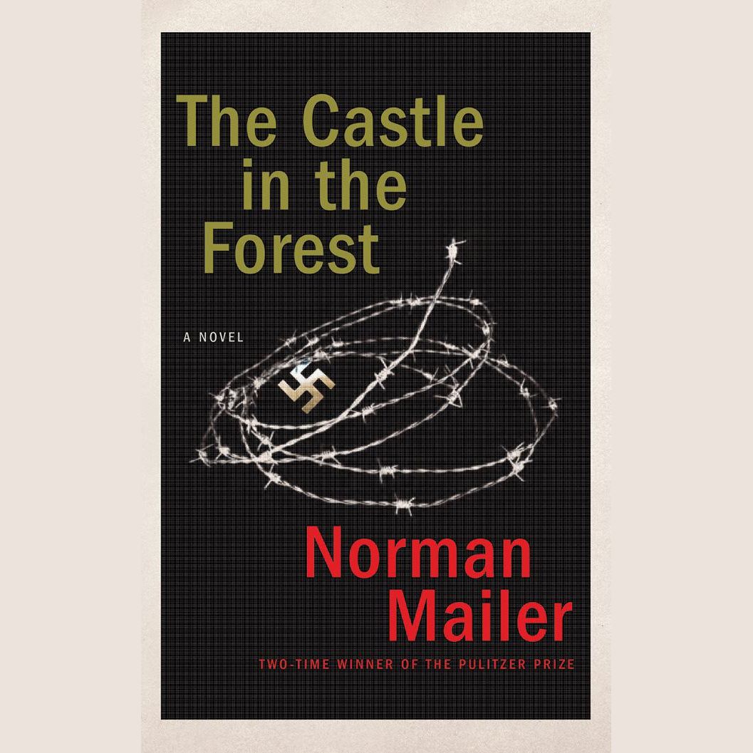 The Castle in the Forest