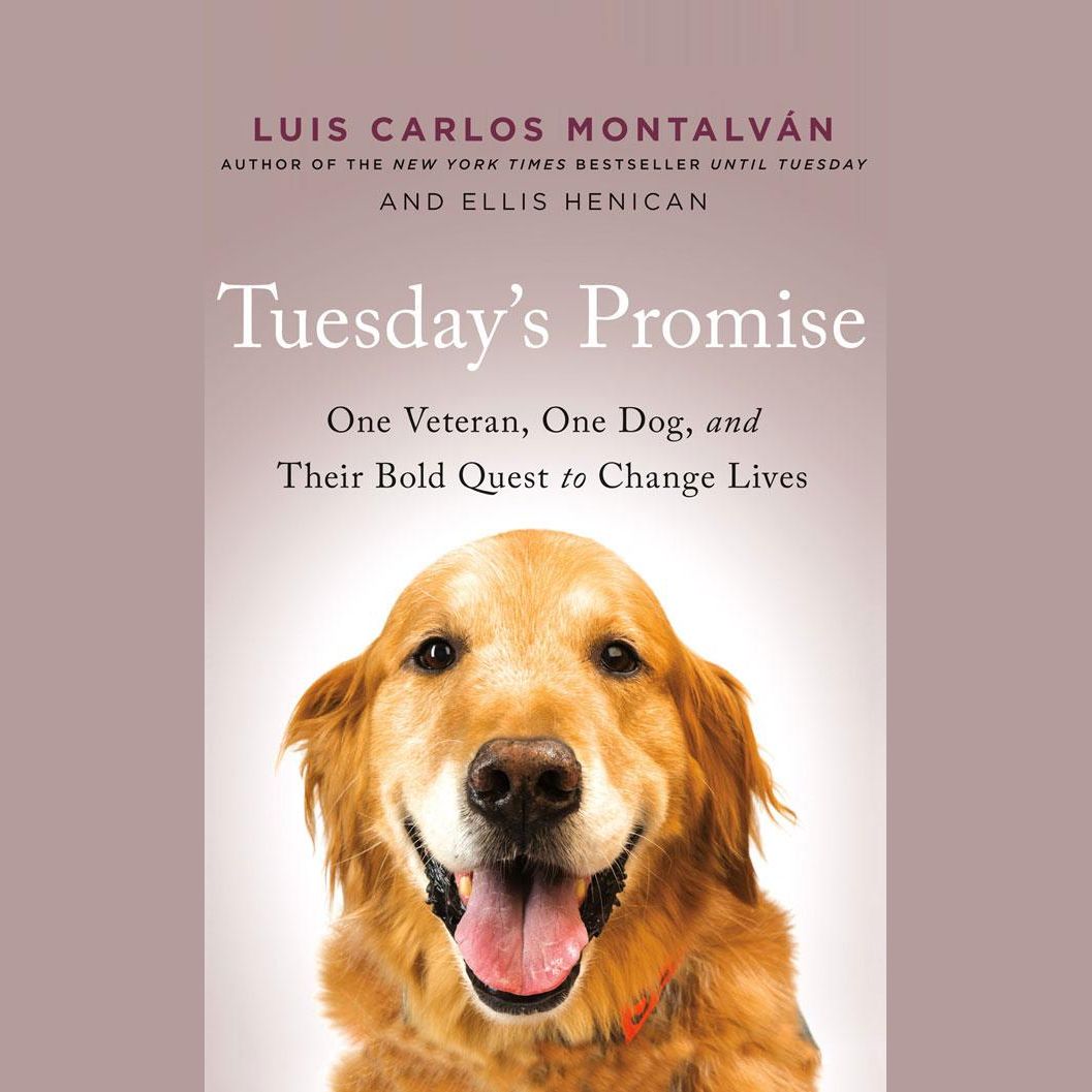 Tuesday's Promise
