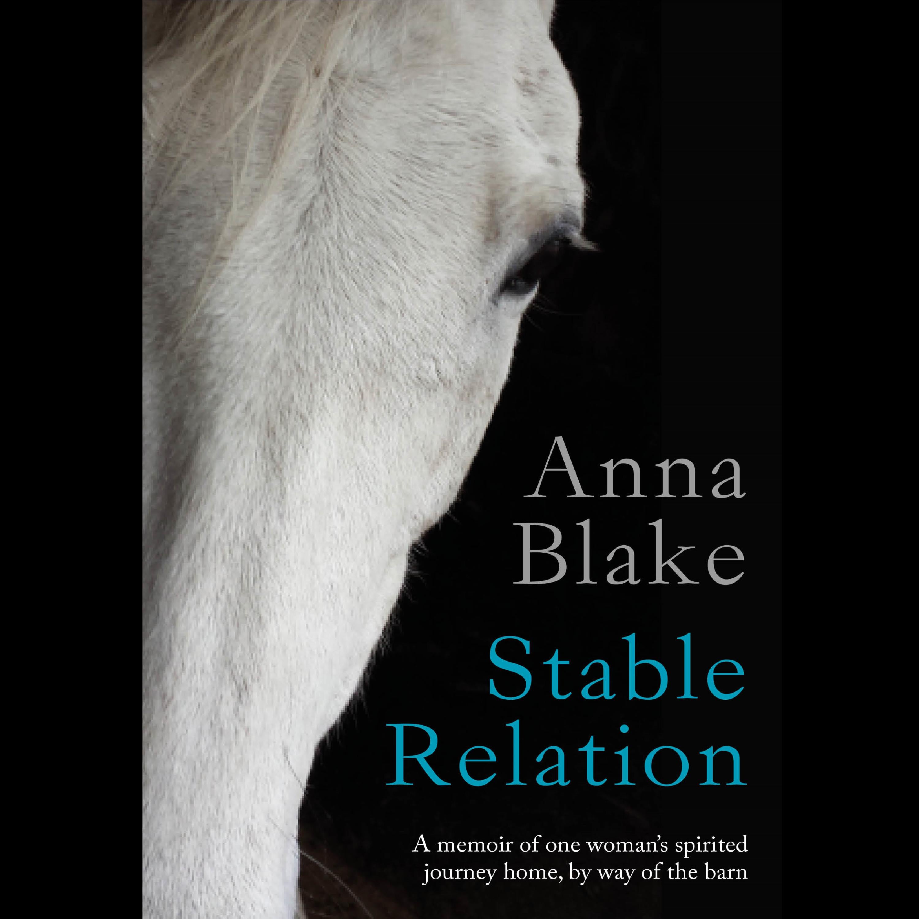 Stable Relation