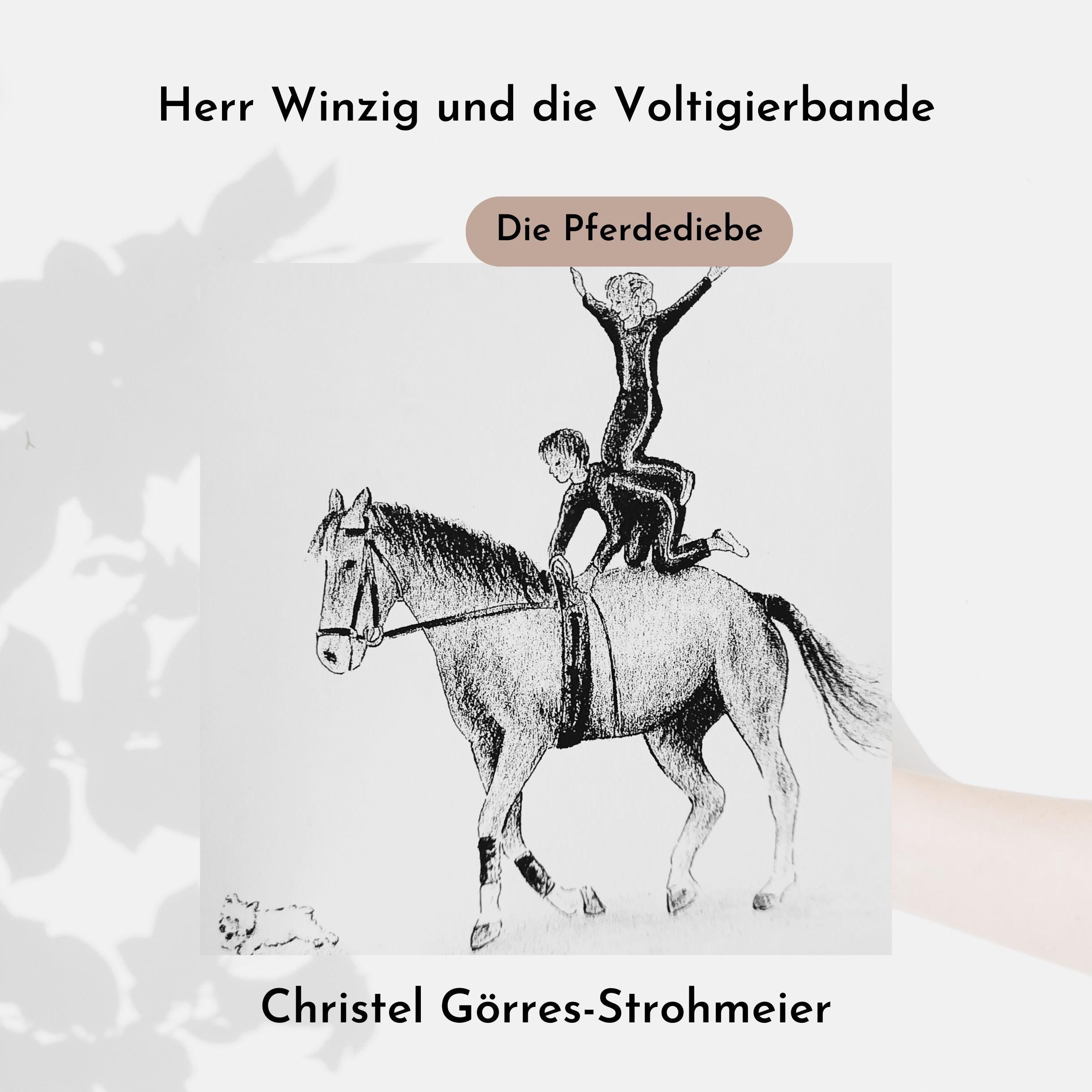 Herr Winzig und die Voltigierbande