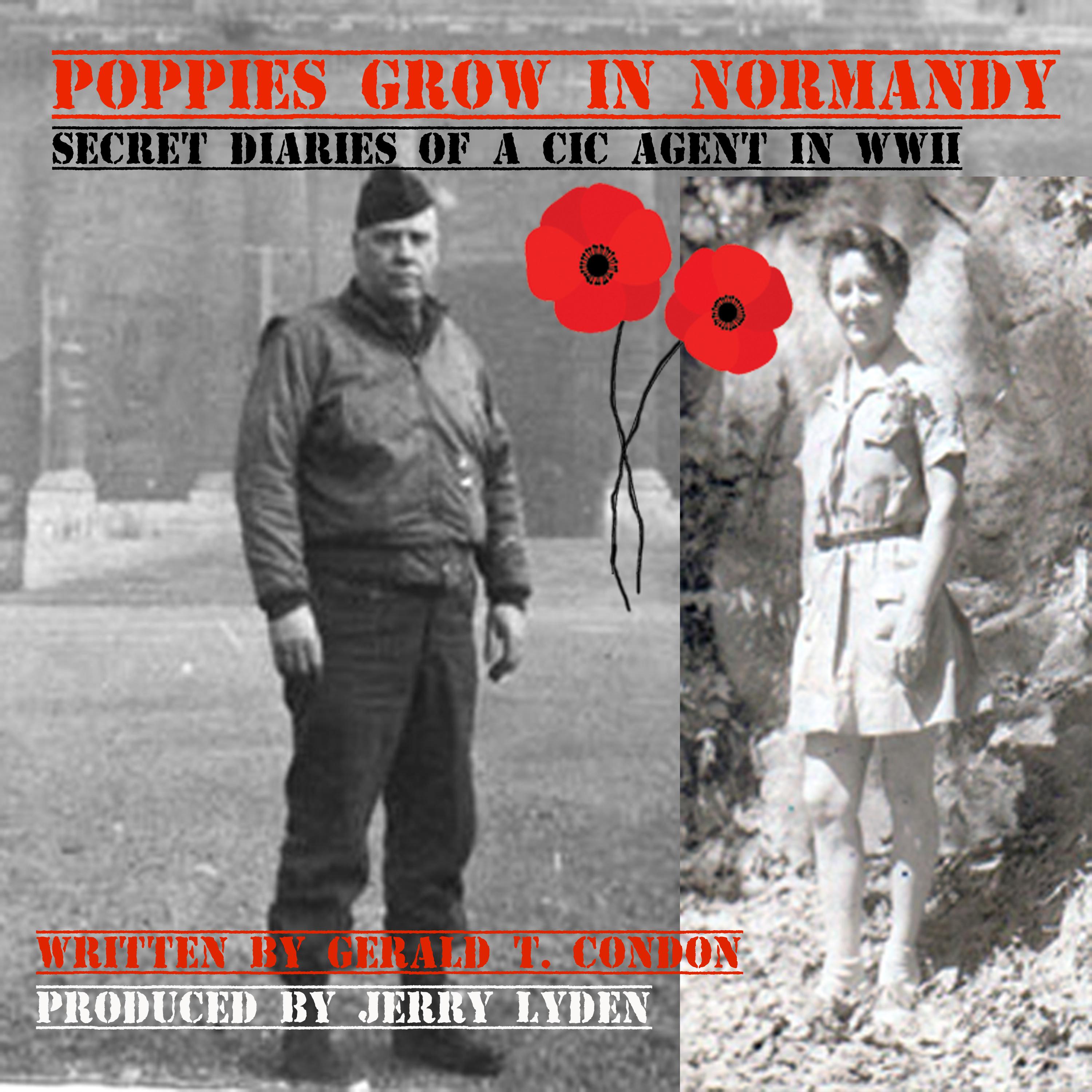 Poppies Grow In Normandy
