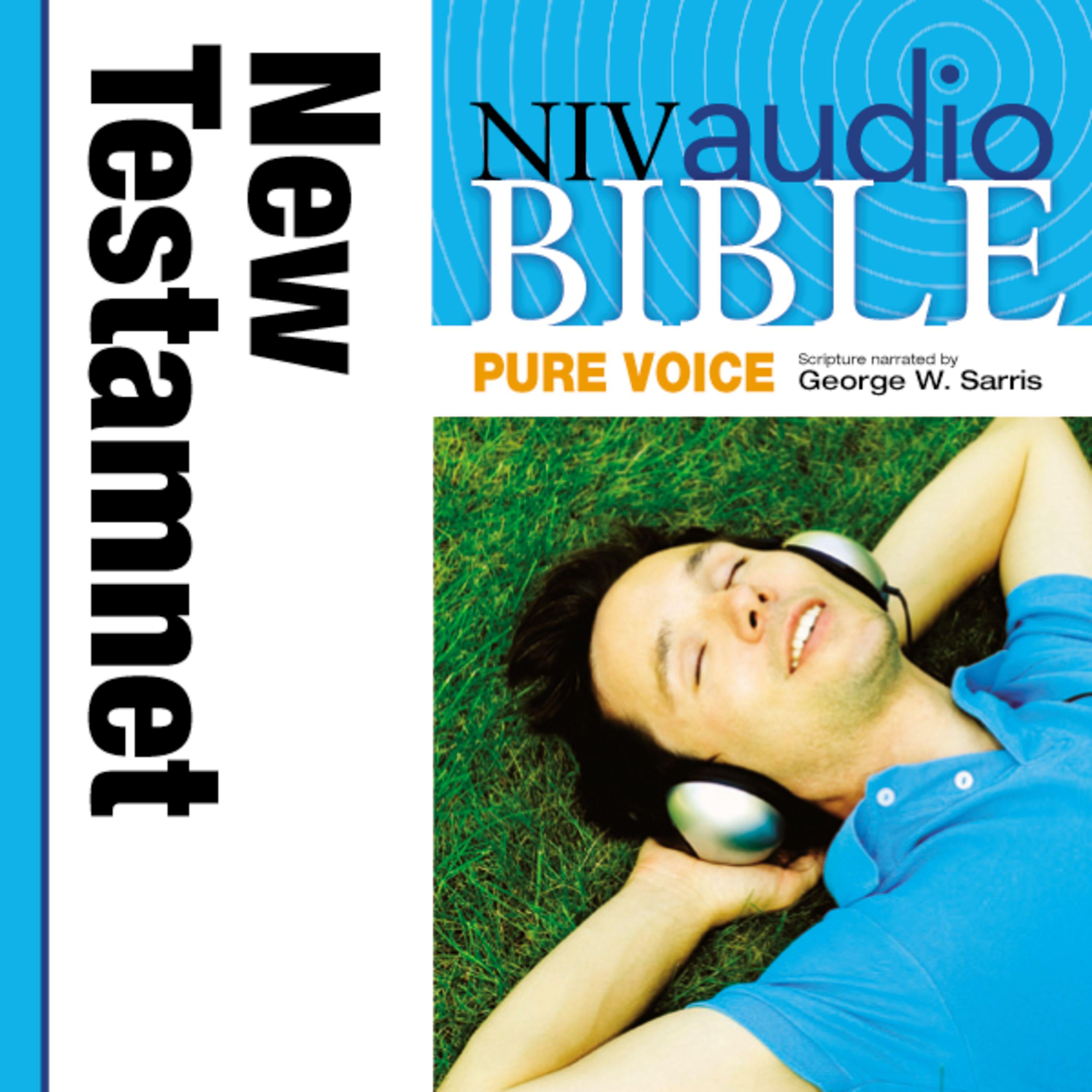 Pure Voice Audio Bible - New International Version, NIV: New Testament