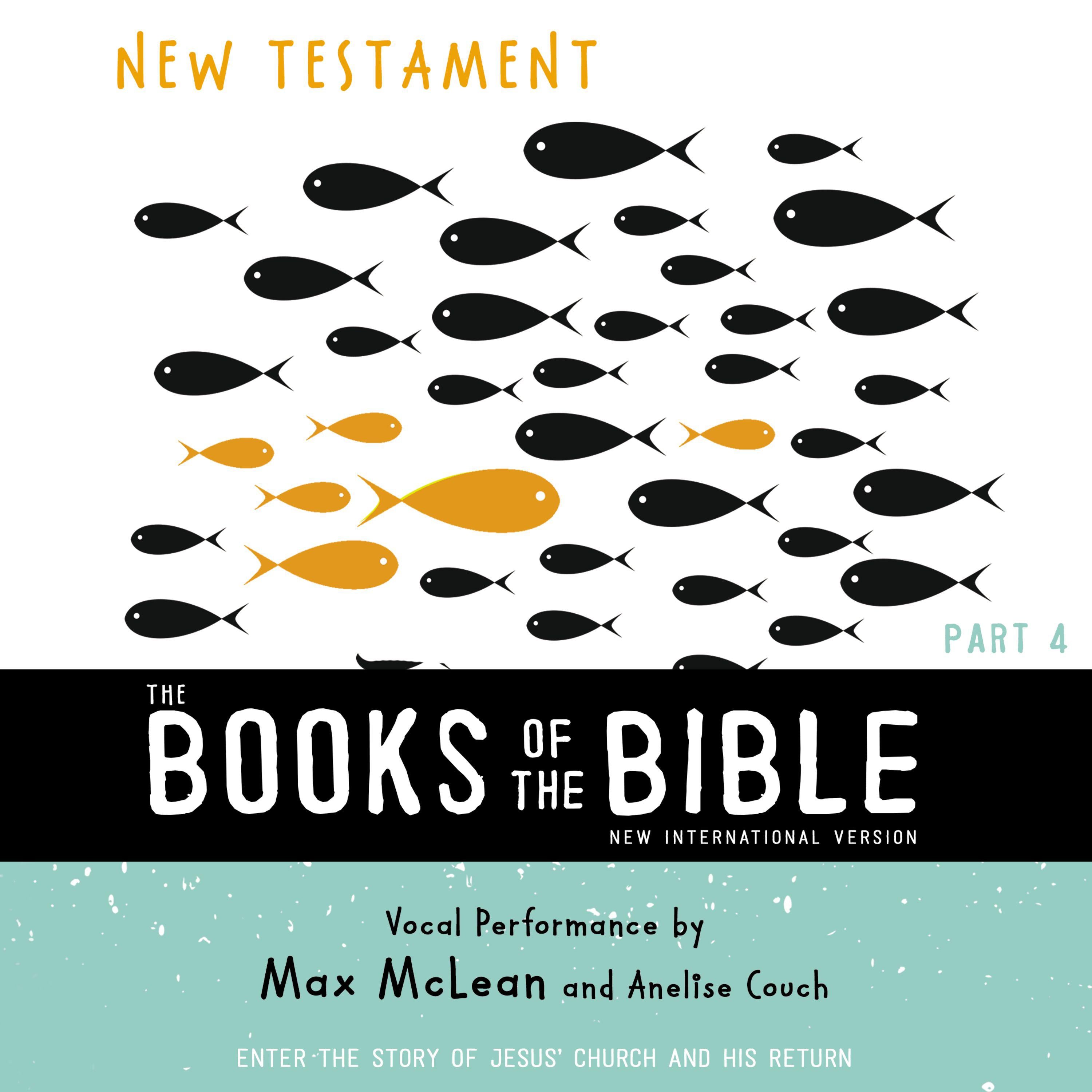 The Books of the Bible Audio Bible - New International Version, NIV: New Testament