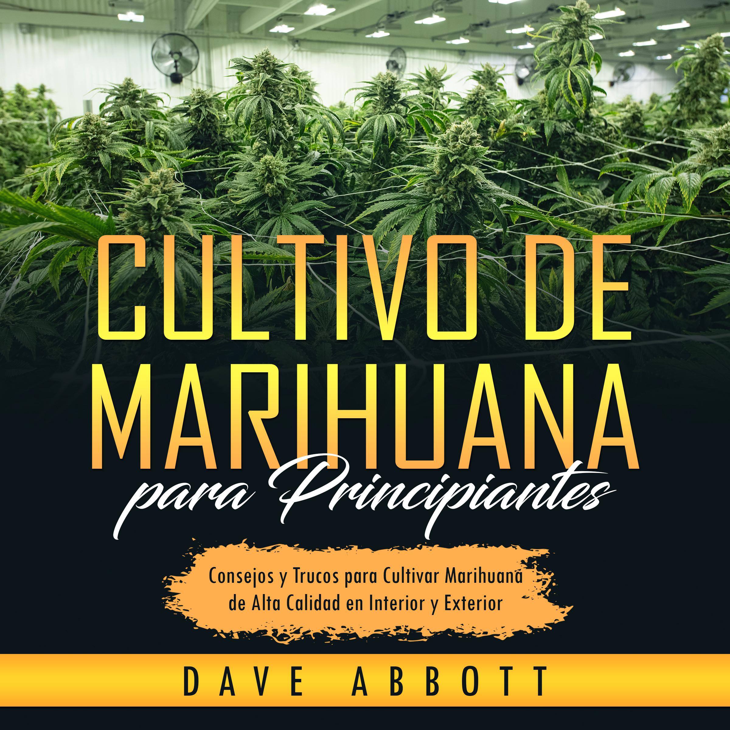 Cultivo de Marihuana para Principiantes