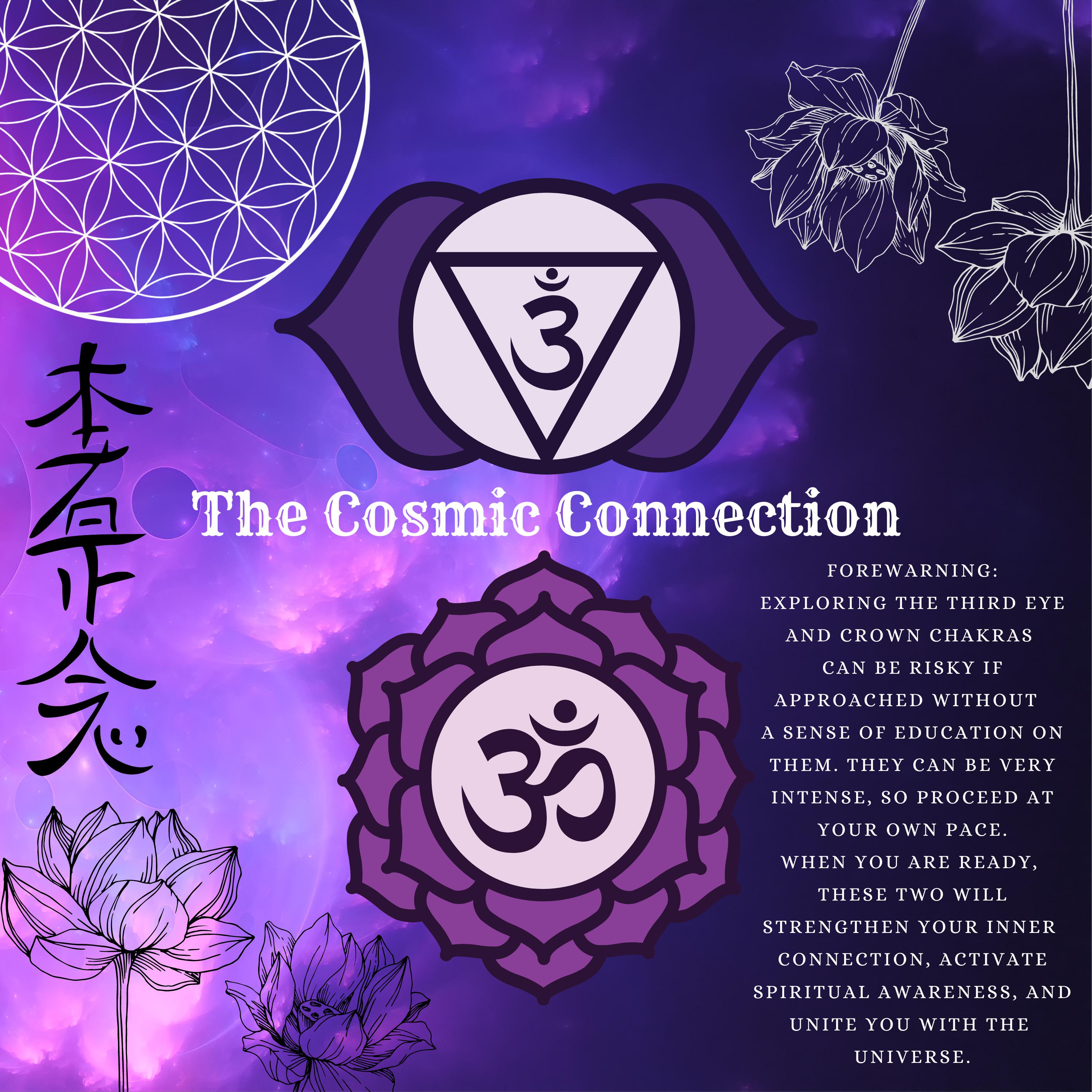 The Cosmic Connection