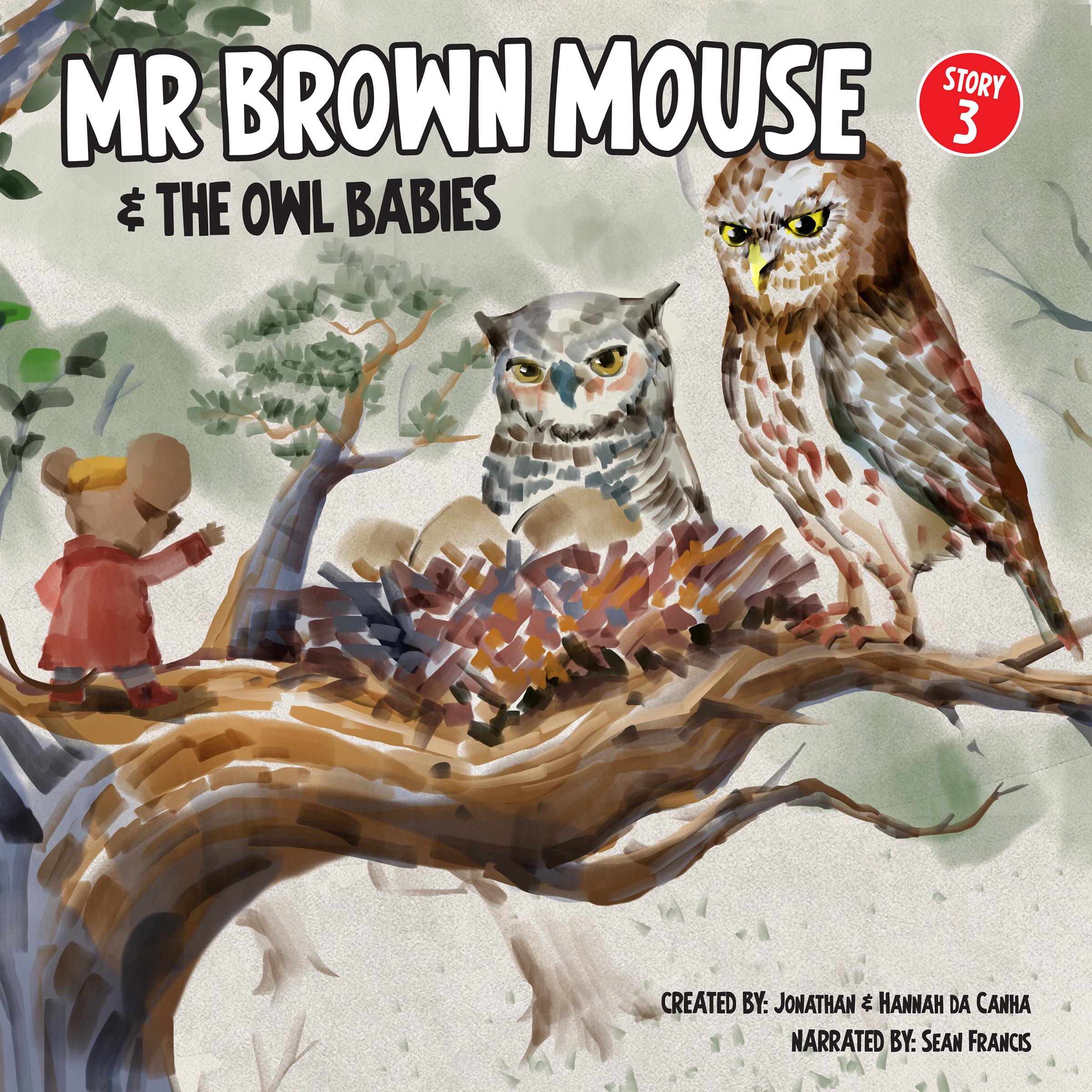 Mr Brown Mouse And The Owl Babies