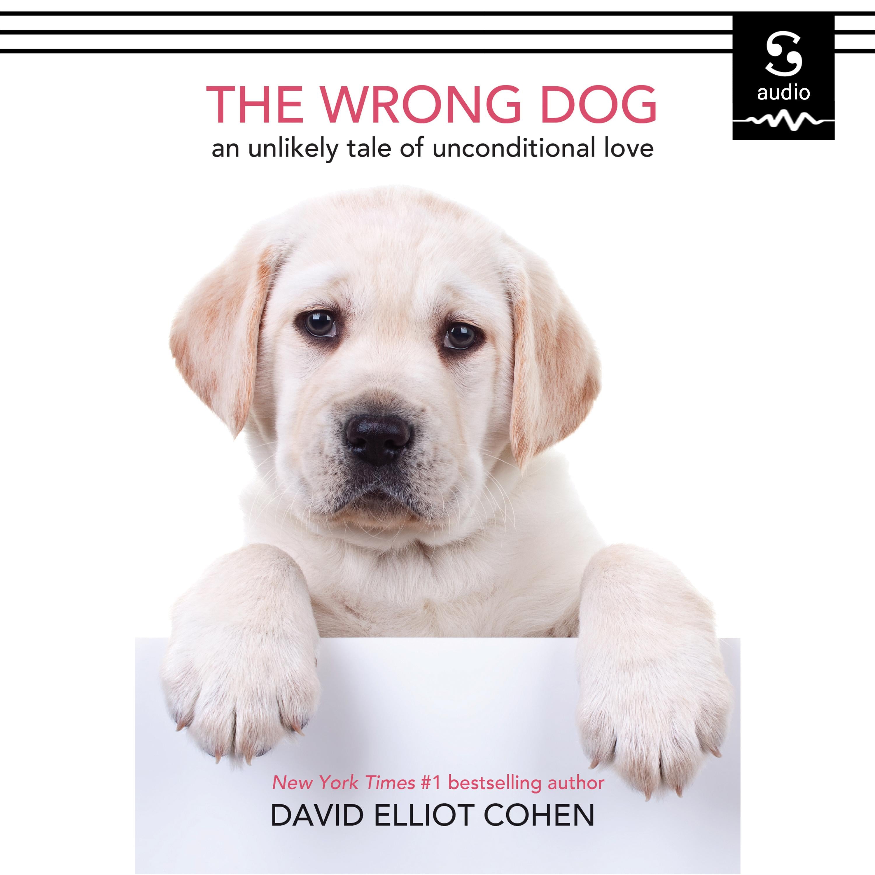 The Wrong Dog