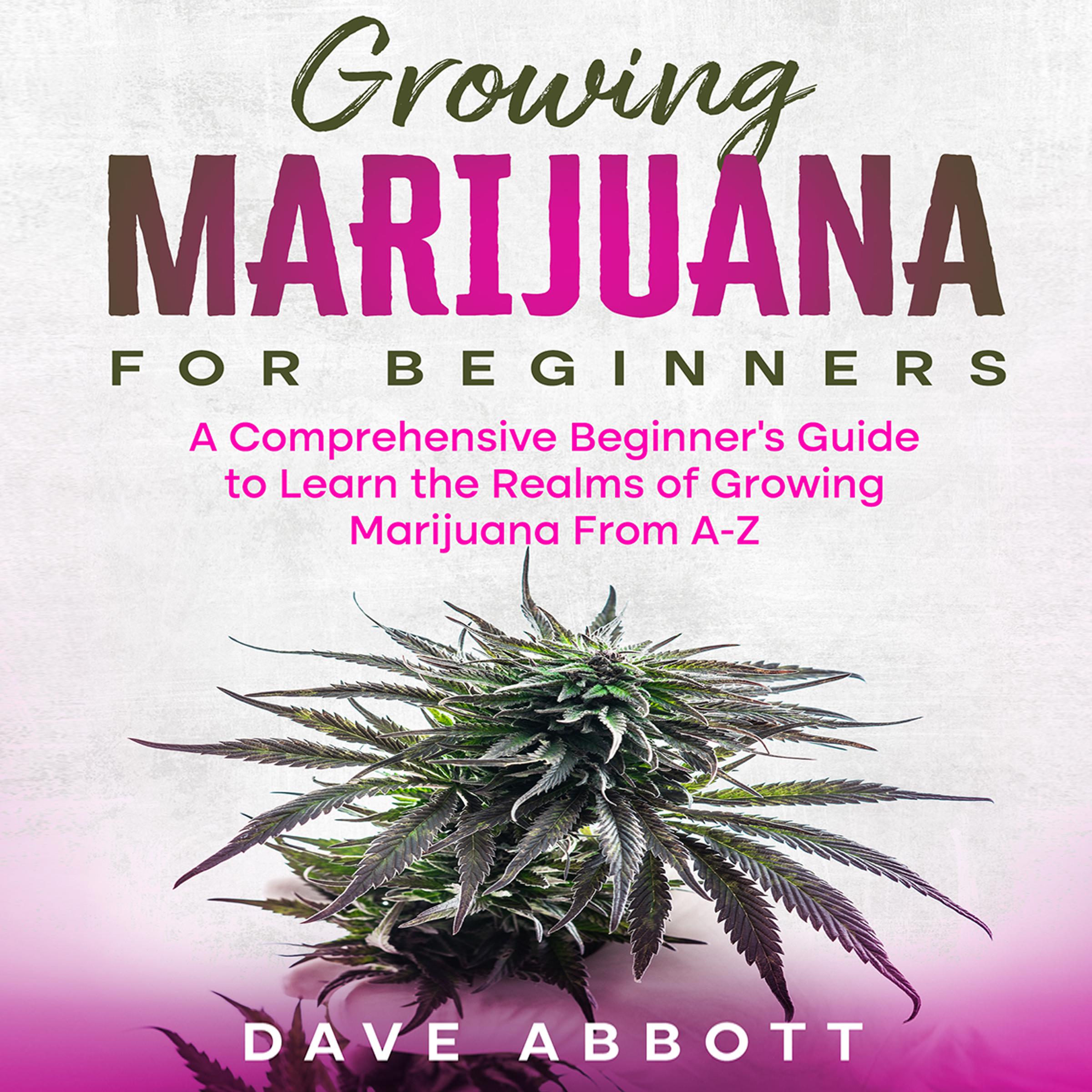 Growing Marijuana For Beginners