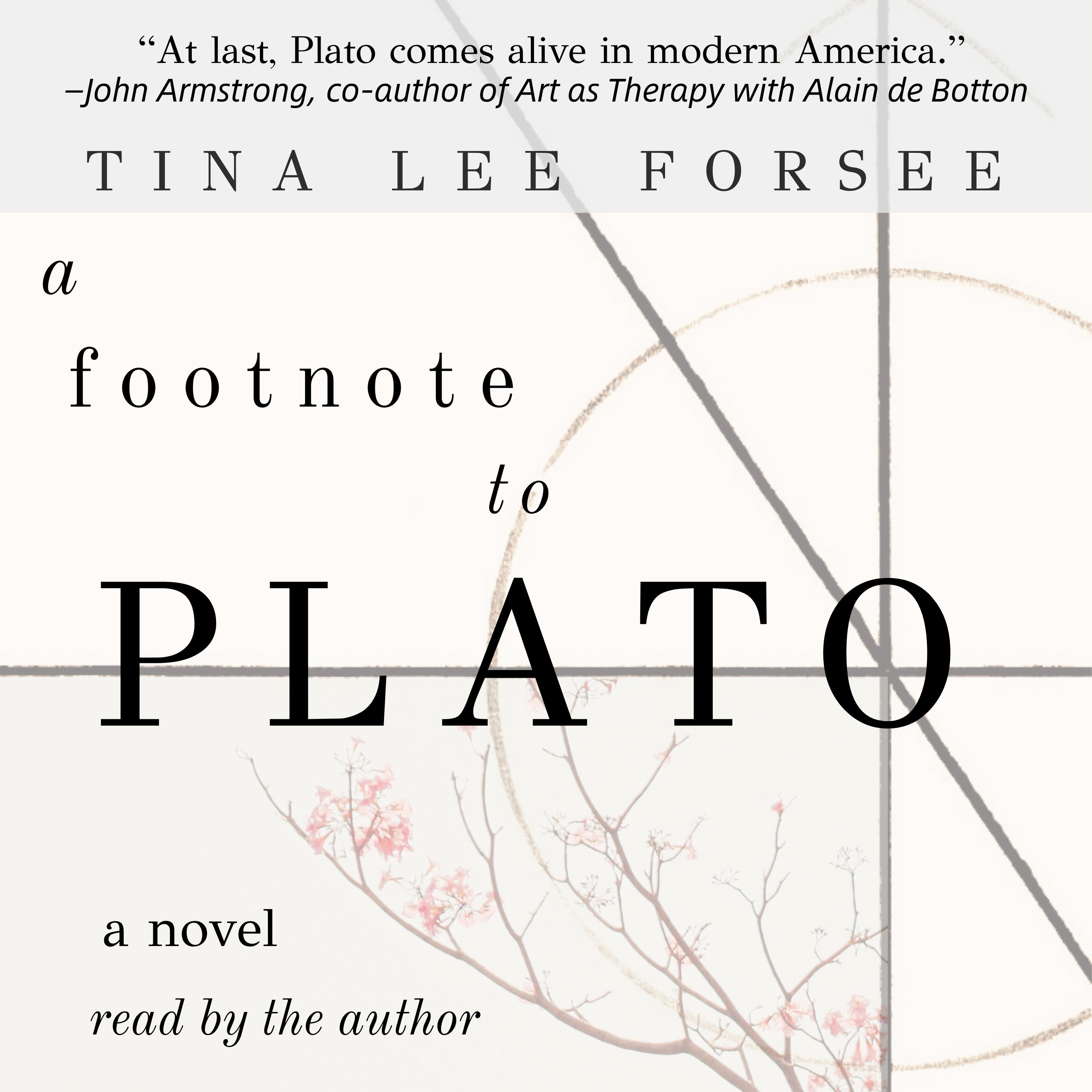 A Footnote to Plato