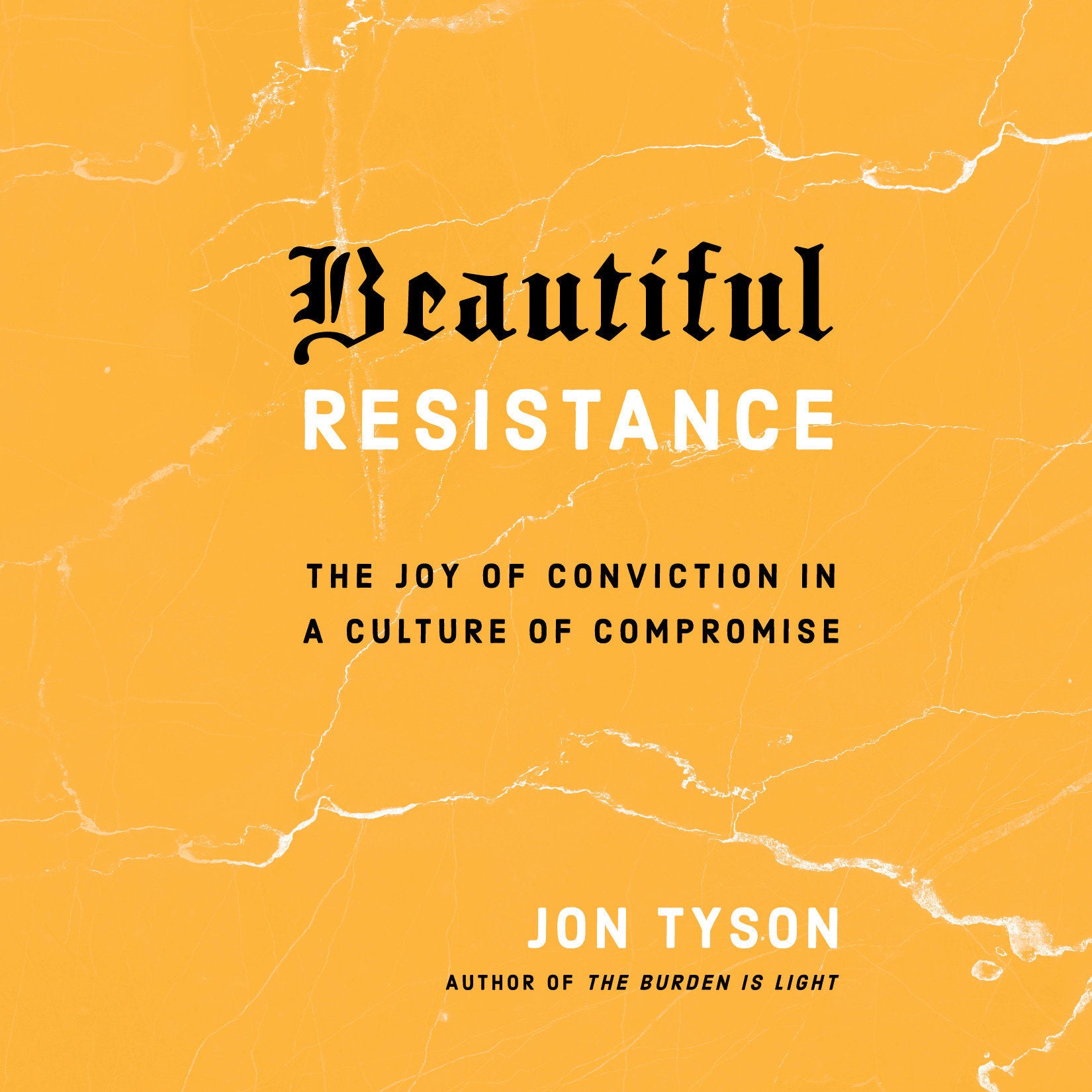 Beautiful Resistance