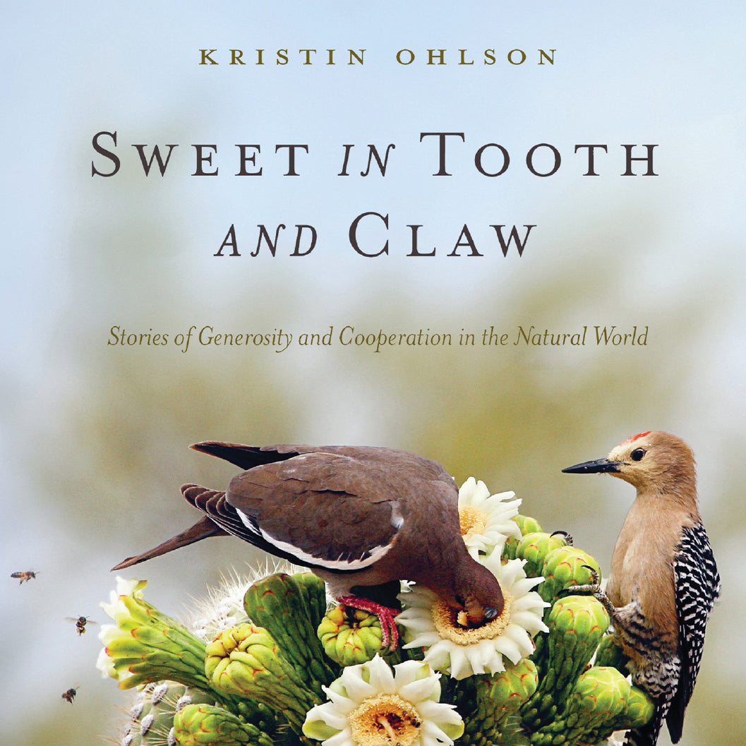 Sweet in Tooth and Claw