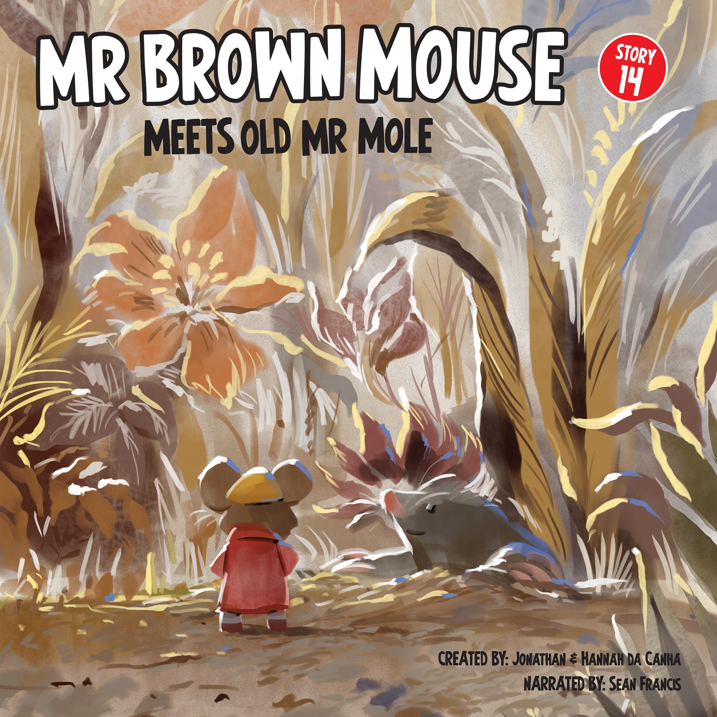 How Mr Brown Mouse Met Old Mr Mole