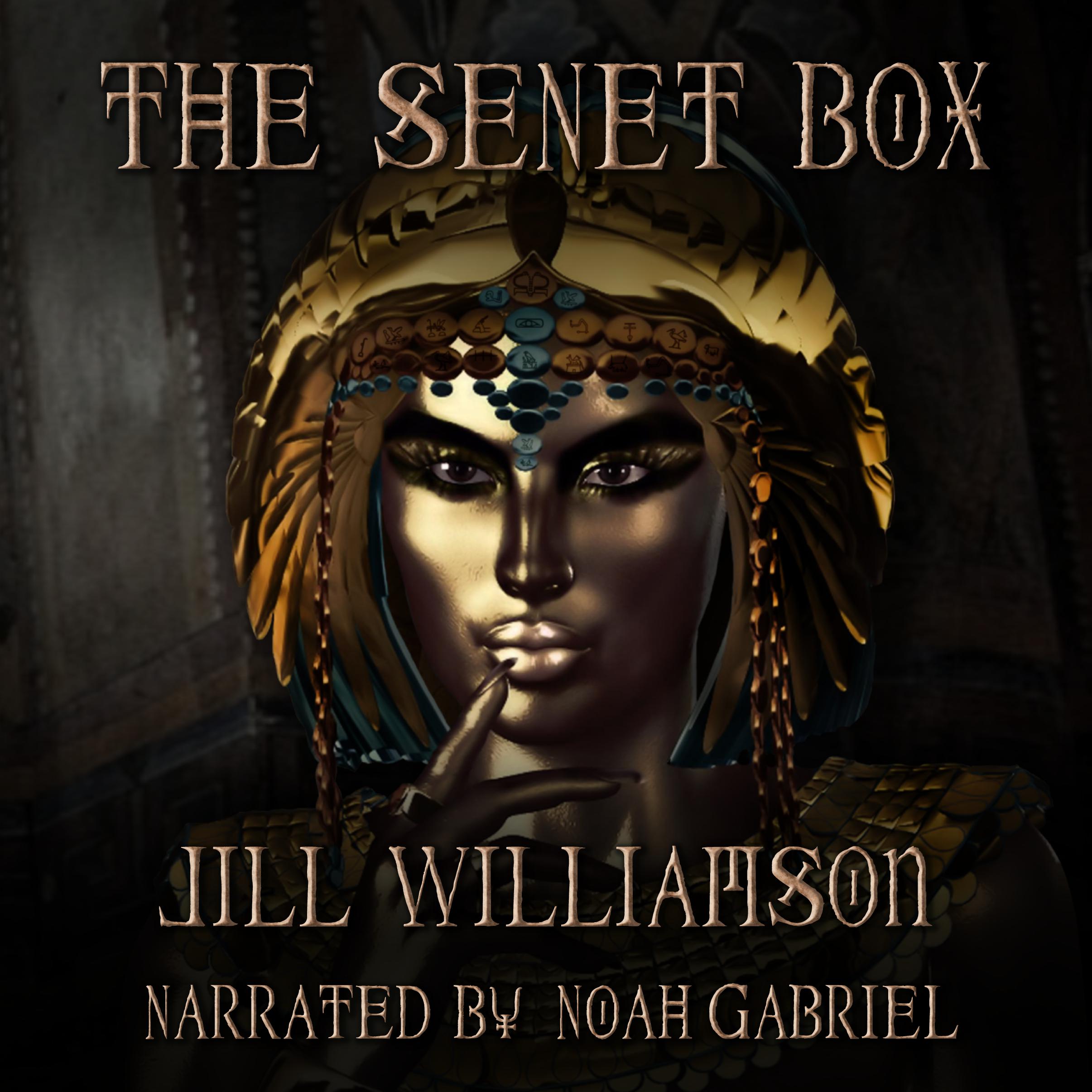 The Senet Box