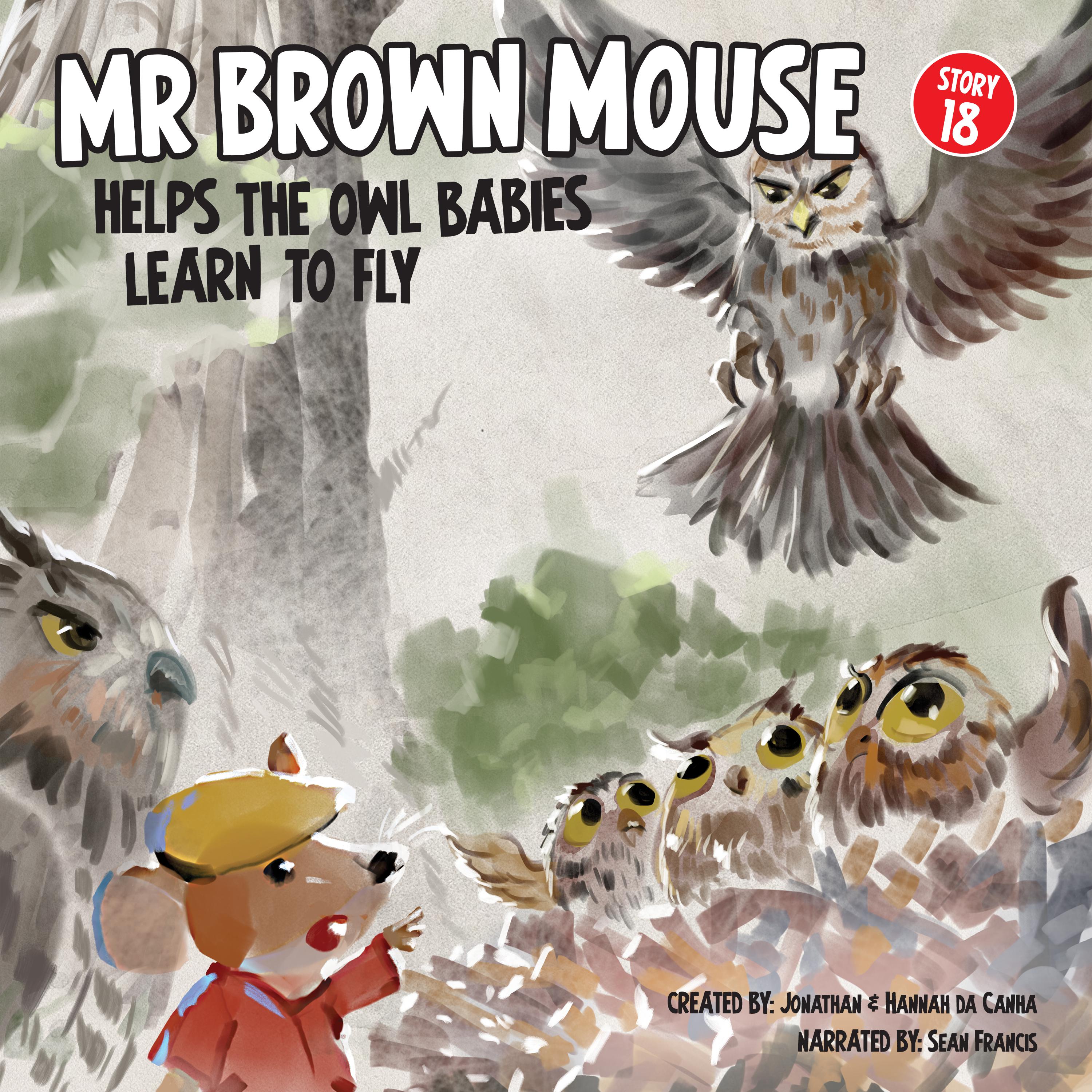 Mr Brown Mouse Helps The Owl Babies Learn To Fly