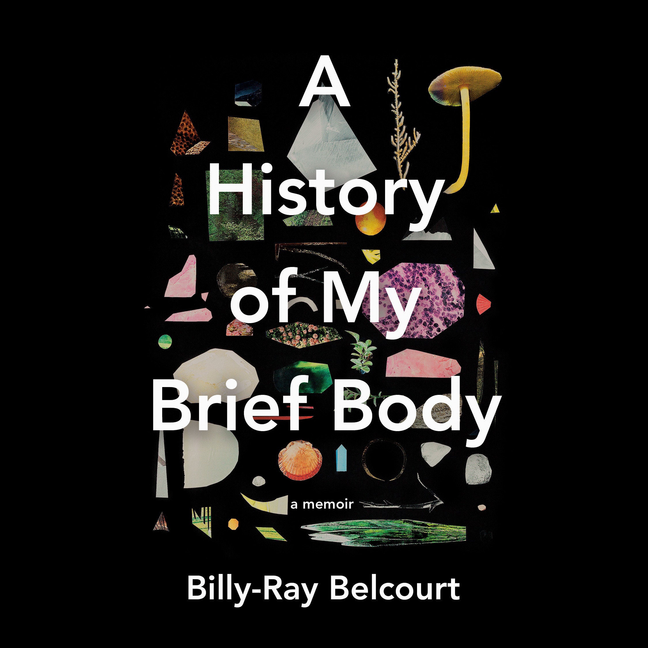 A History of My Brief Body
