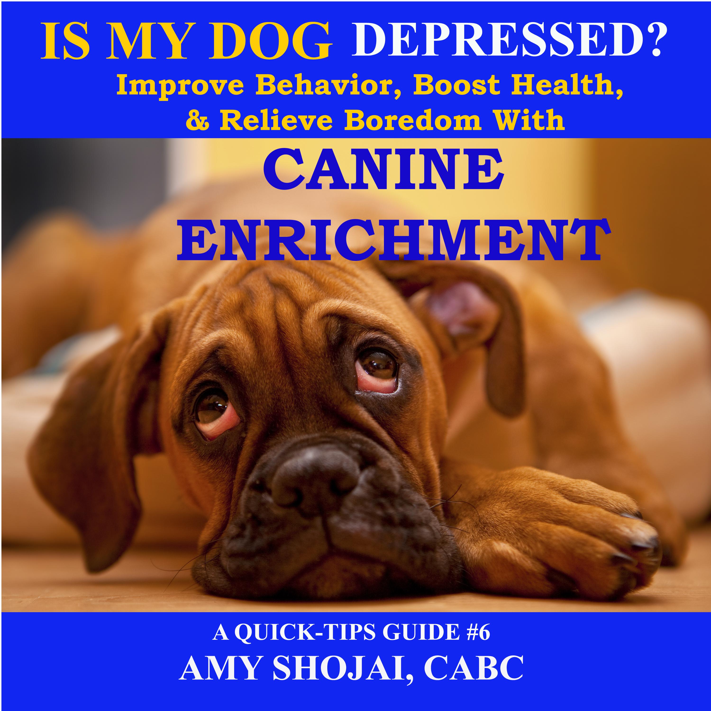 Is My Dog Depressed?