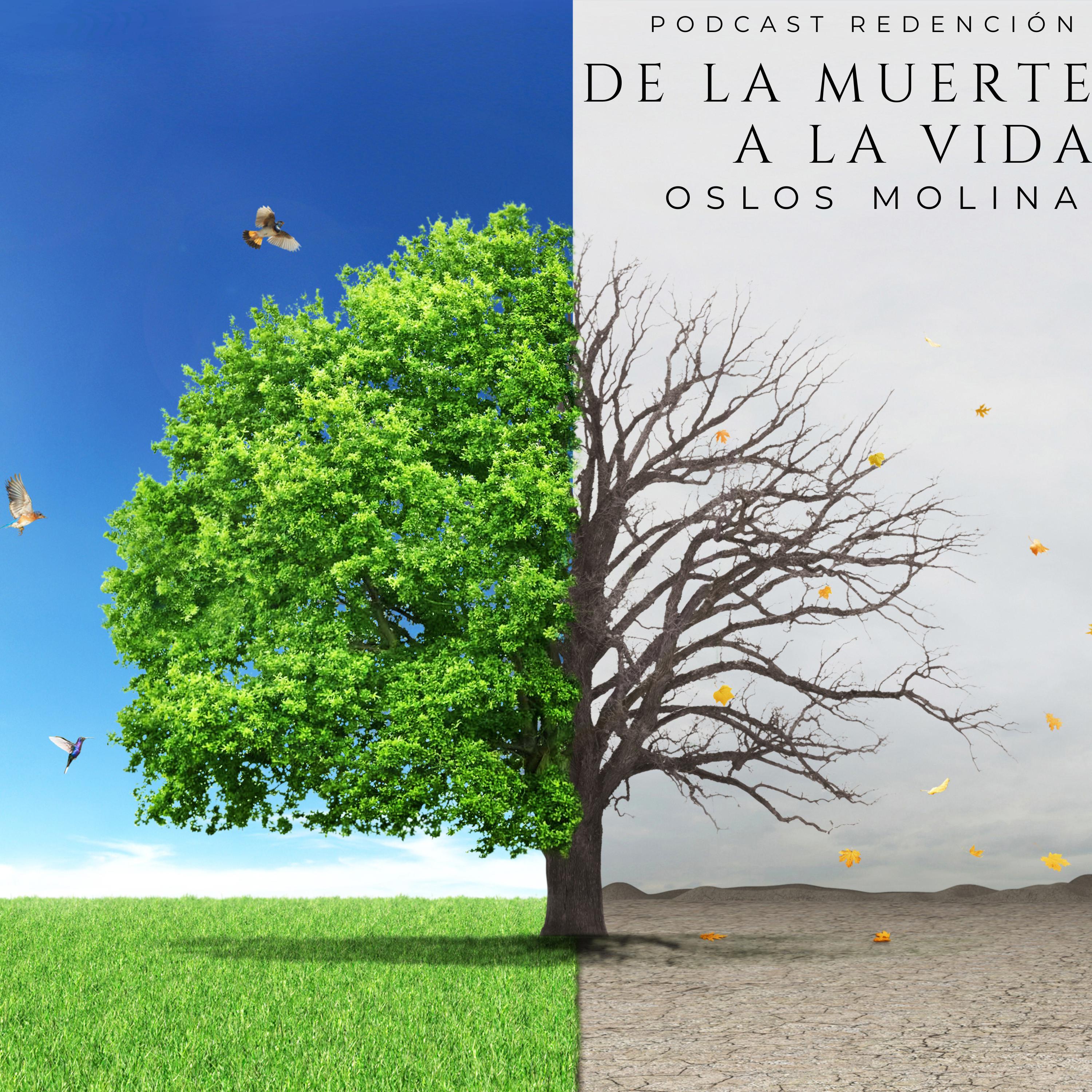 De la muerte a la vida