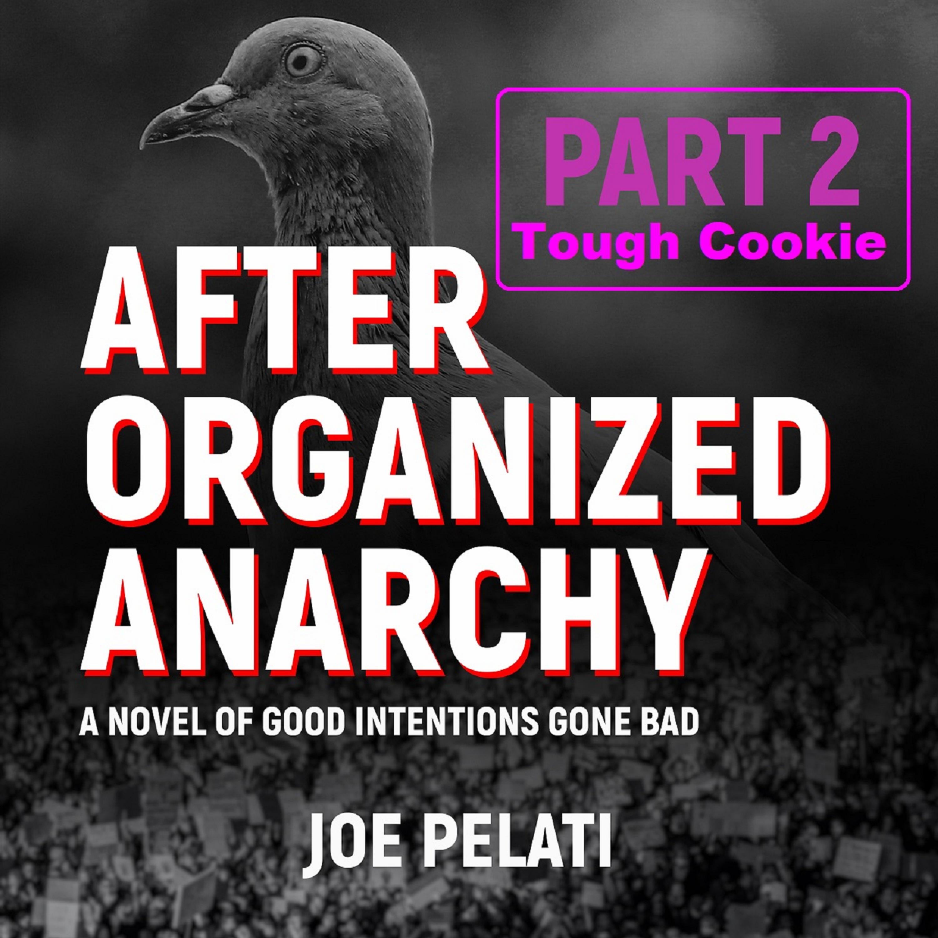 After Organized Anarchy: Part 2. Tough Cookie