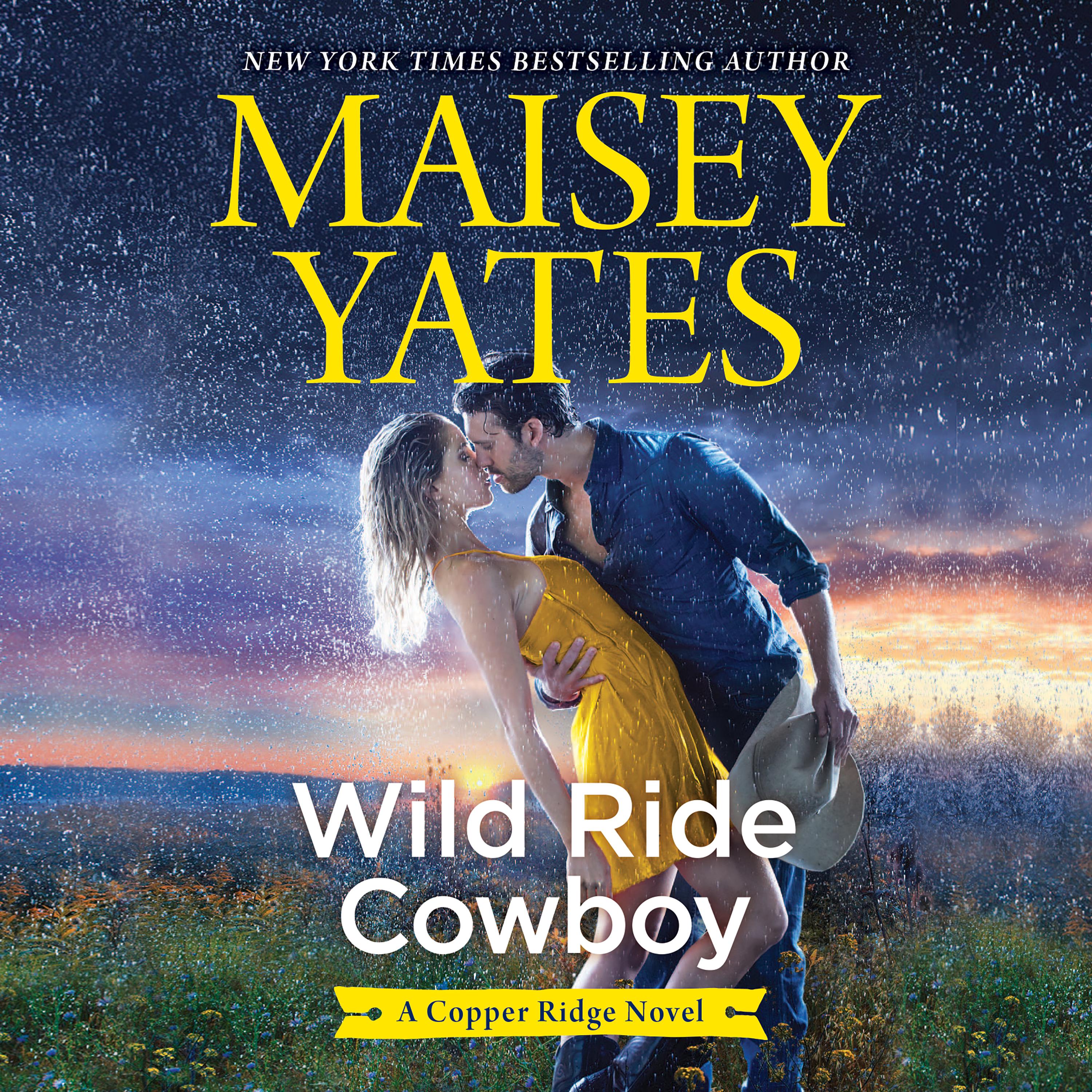 Wild Ride Cowboy