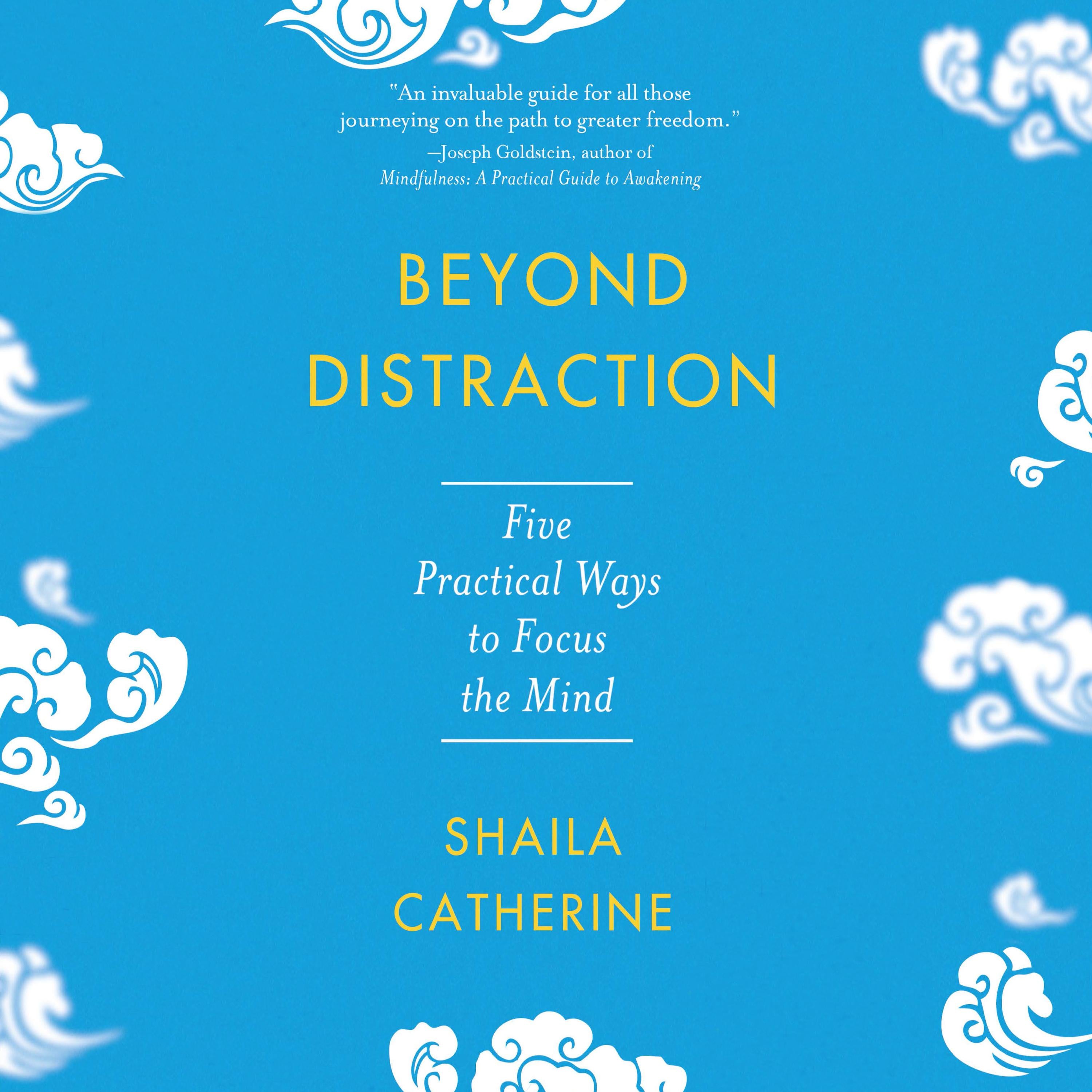 Beyond Distraction