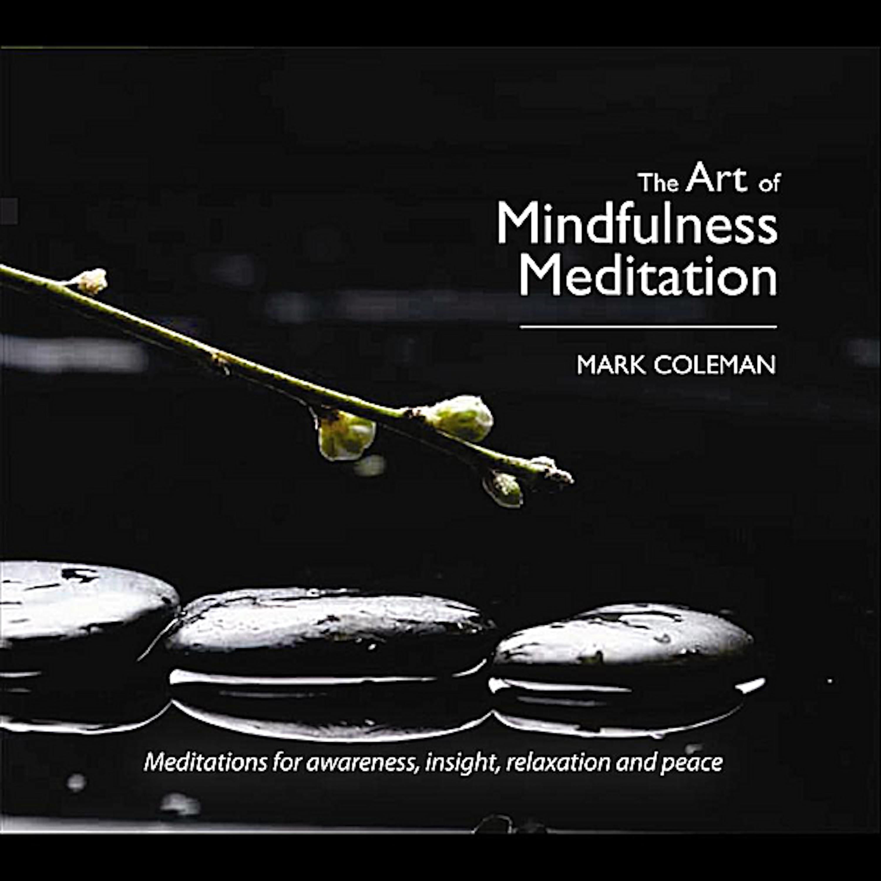 The Art of Mindfulness Meditation with Mark Coleman