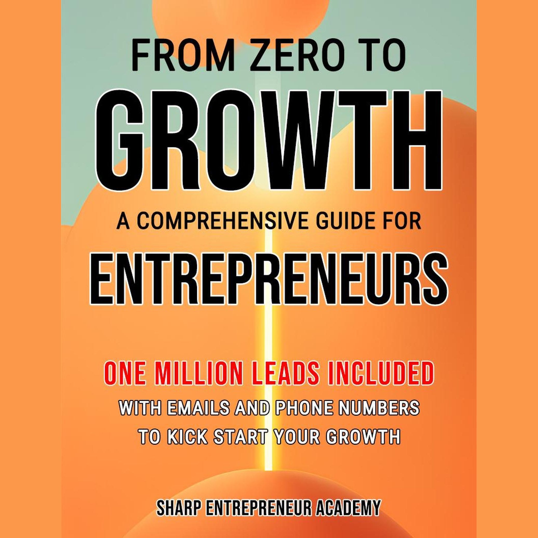 From Zero to Growth: A Comprehensive Guide for Entrepreneurs