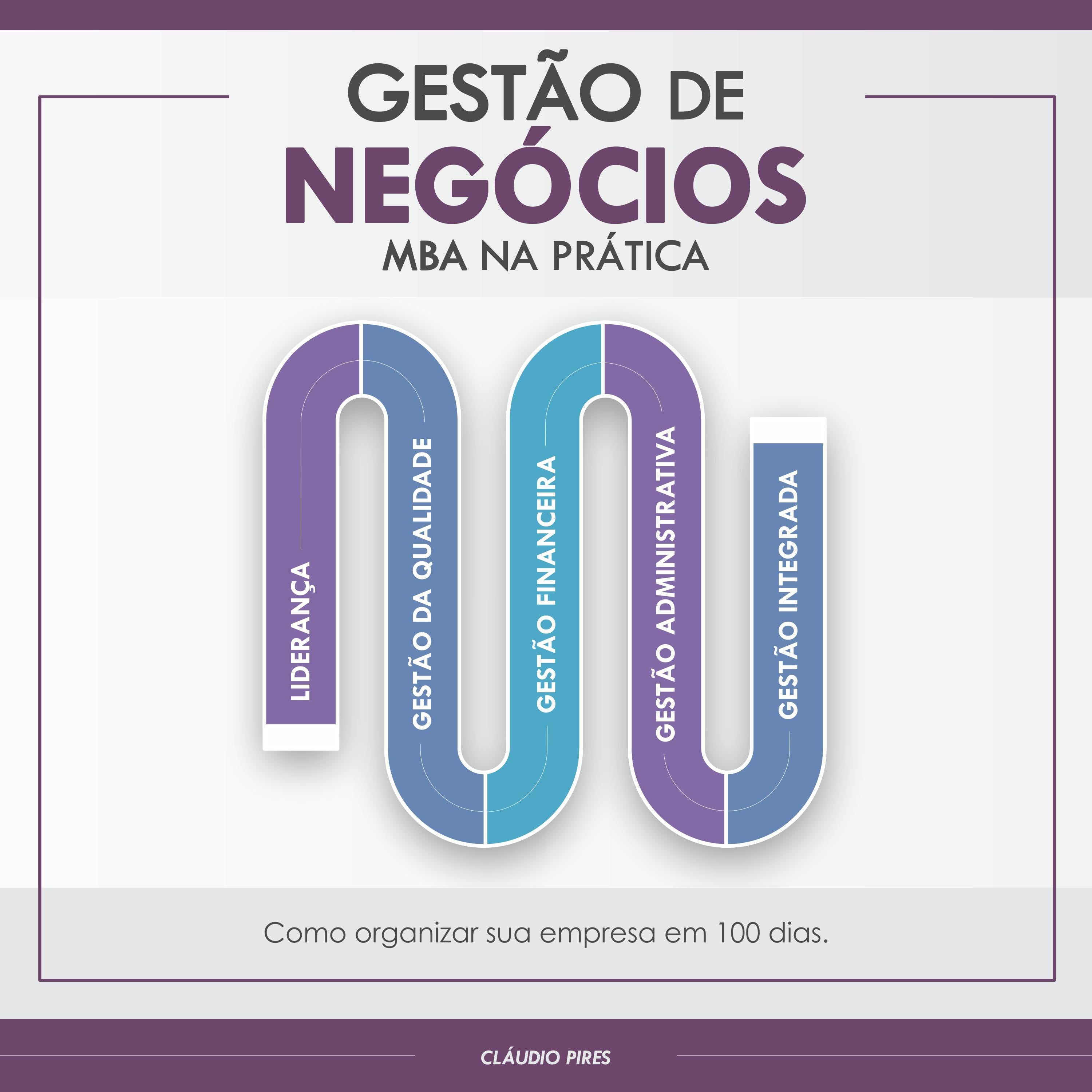 Gestão De Negócios - MBA Na Prática