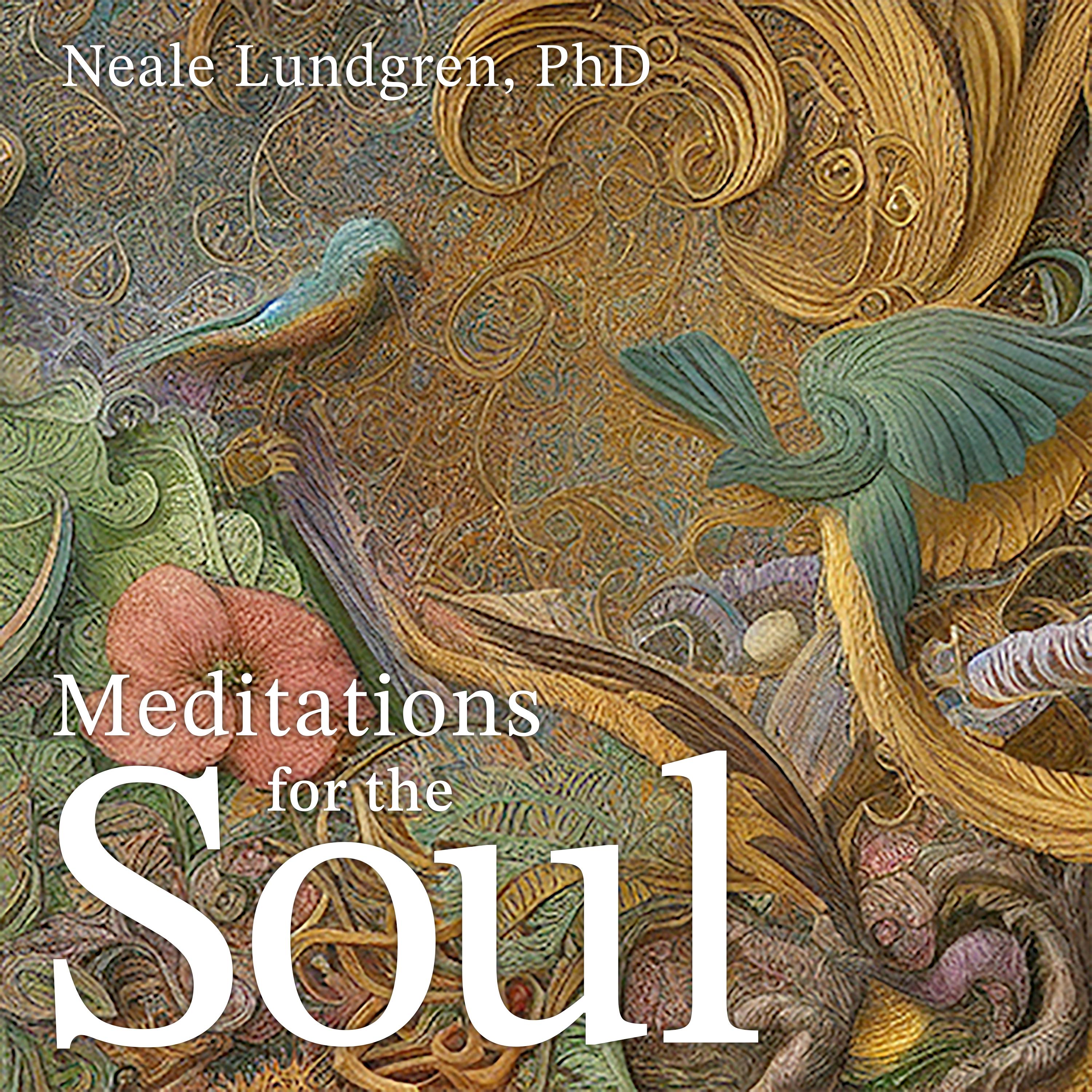 Meditations for the Soul