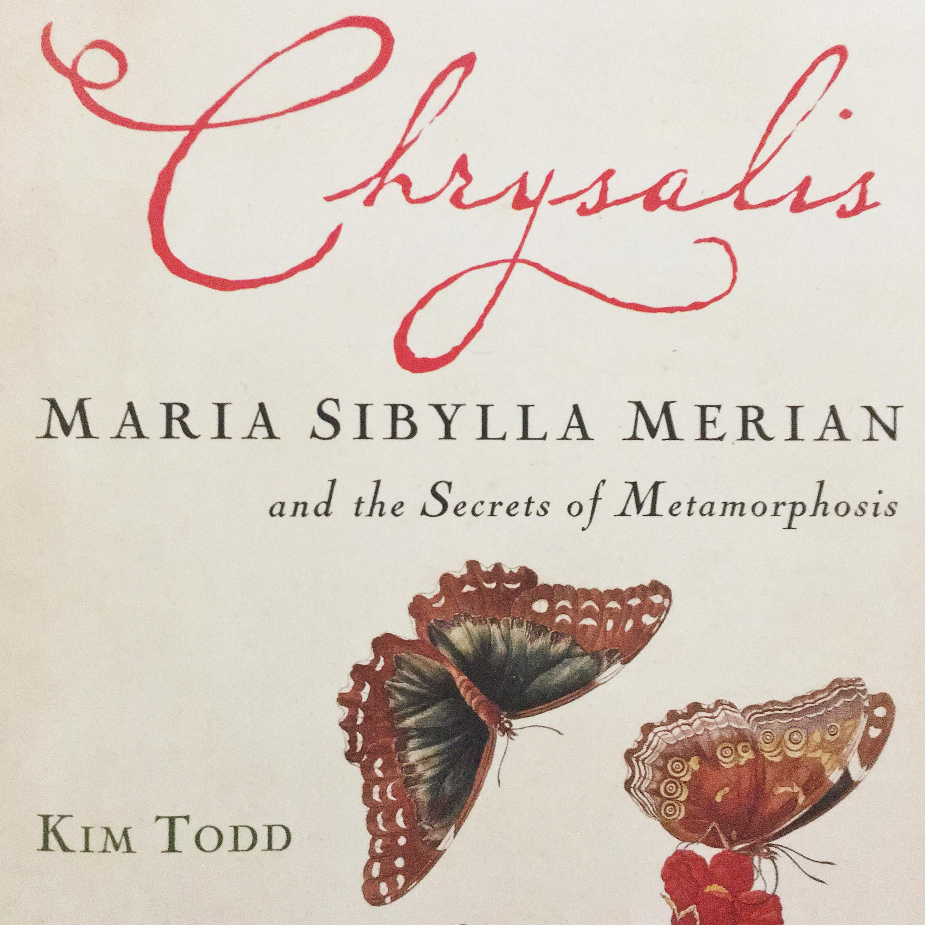 Chrysalis