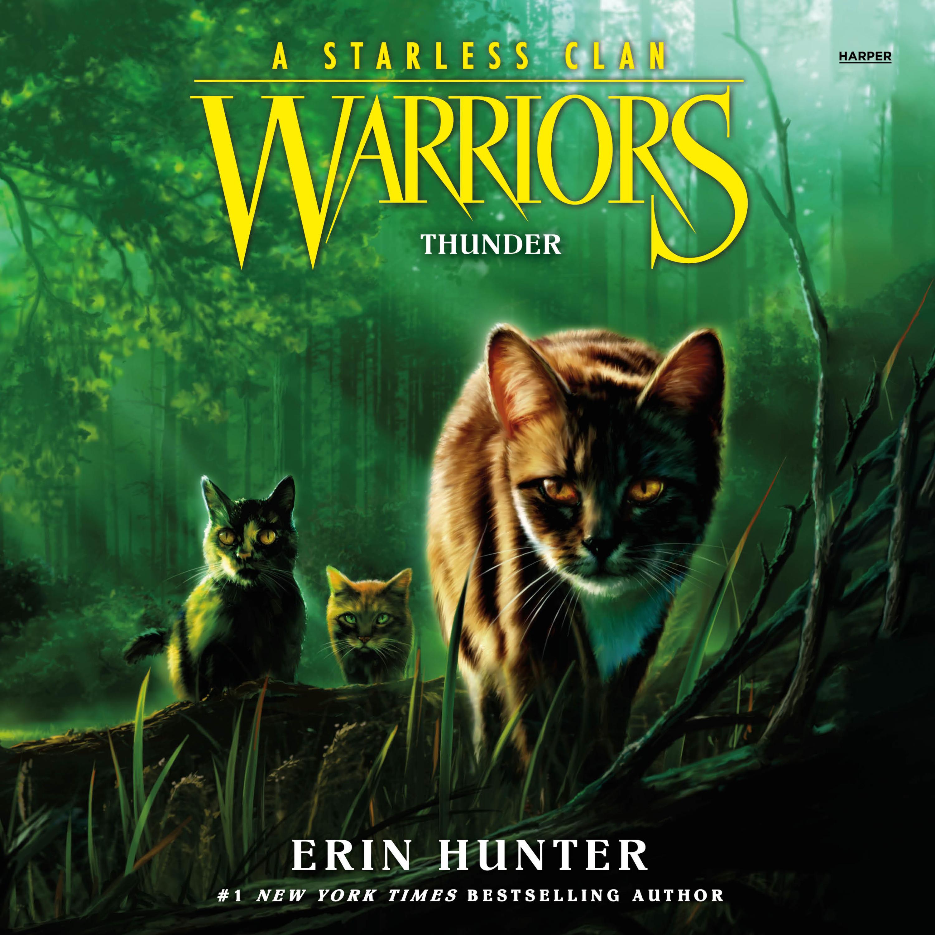 Warriors: A Starless Clan #4: Thunder