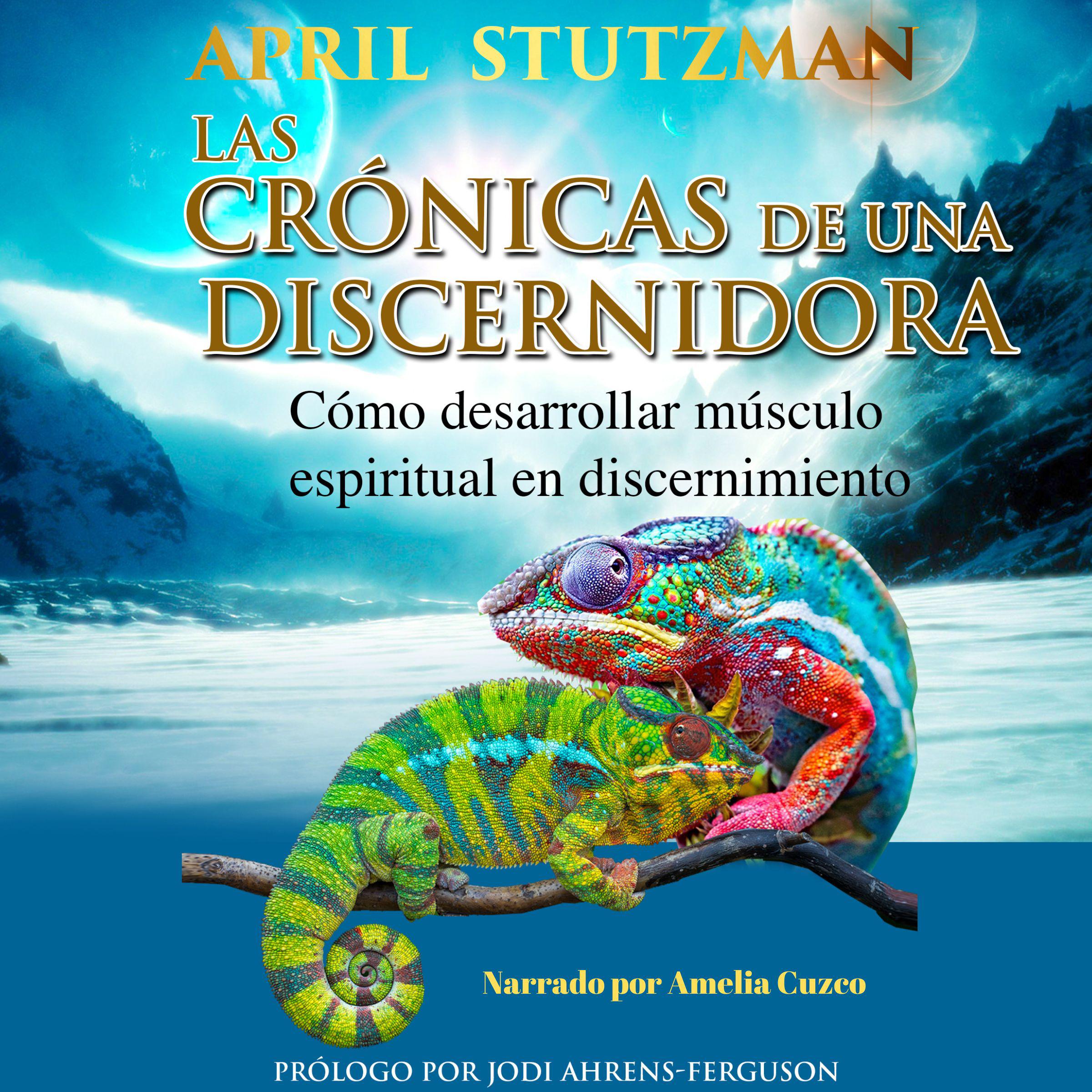 Las crónicas de una discernidora (Spanish Edition)