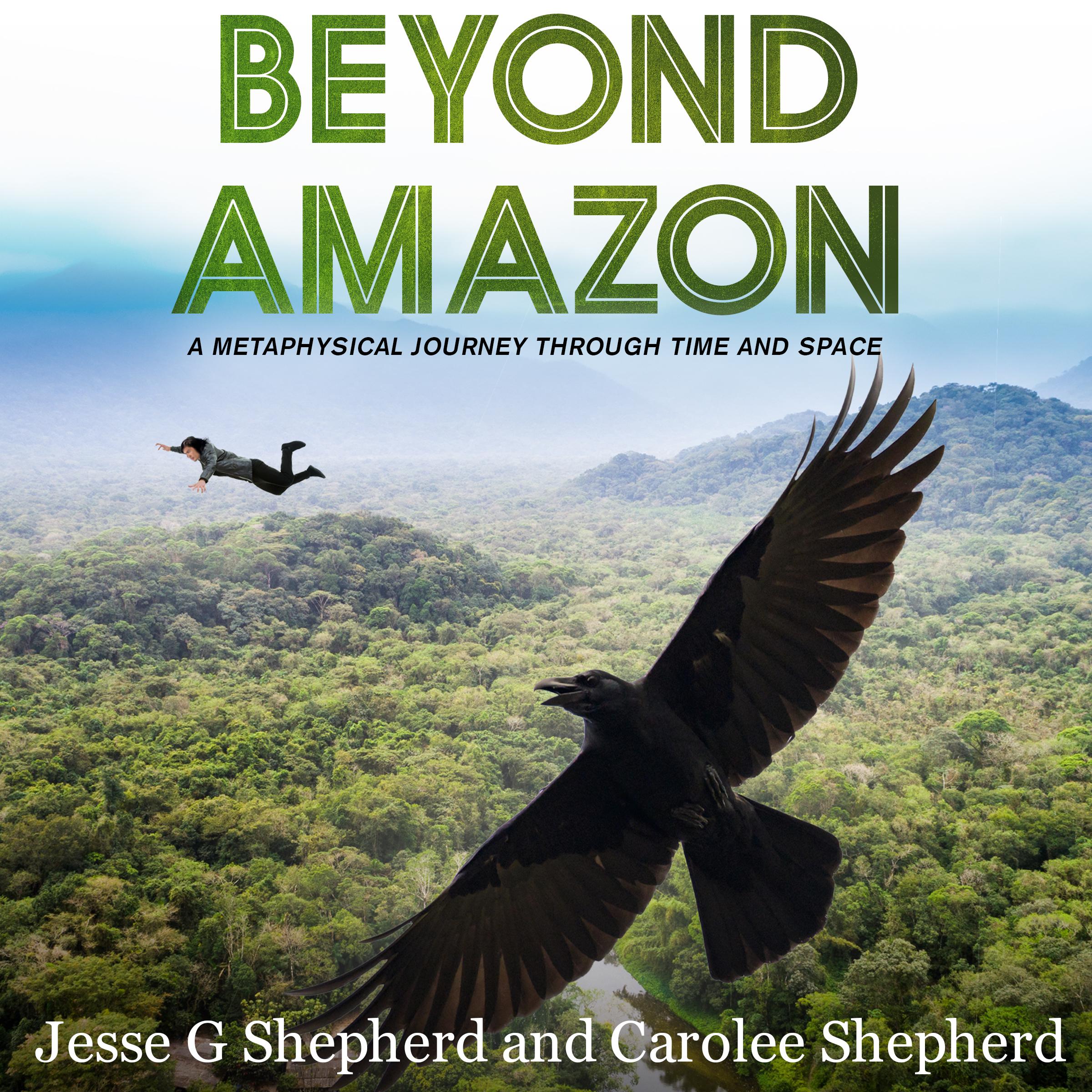 Beyond Amazon