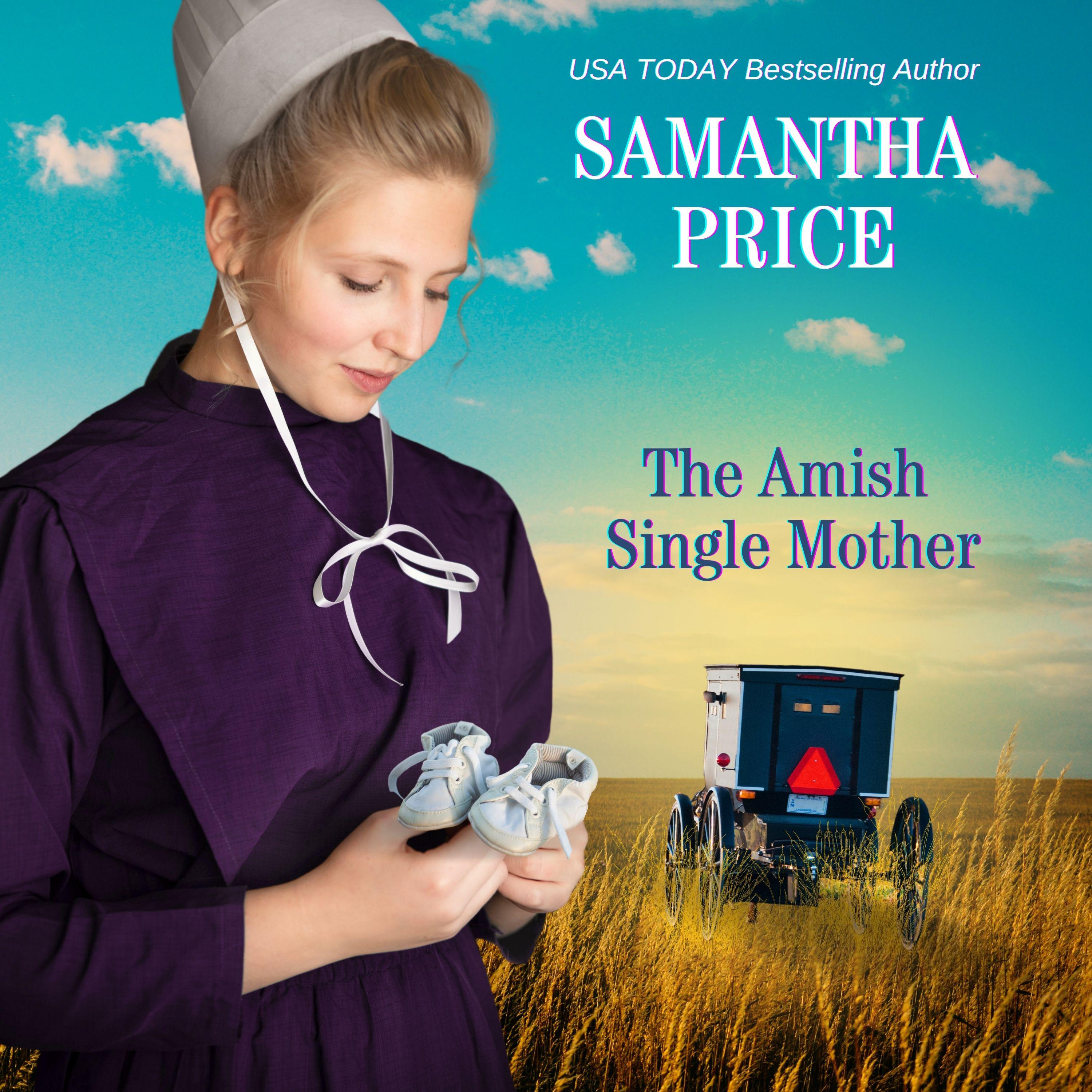 The Amish Single Mother
