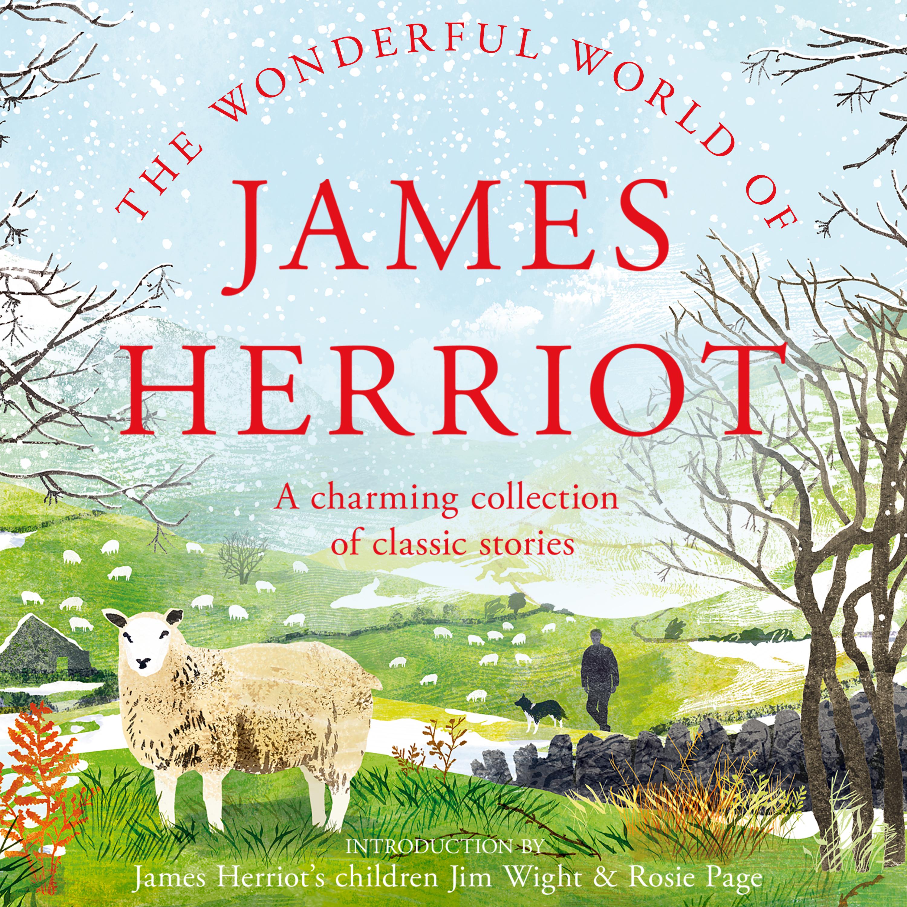 The Wonderful World of James Herriot