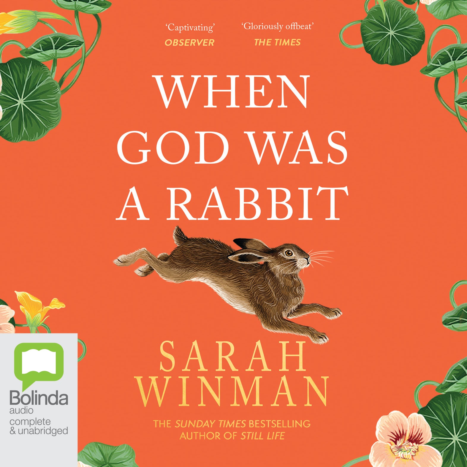 When God Was a Rabbit