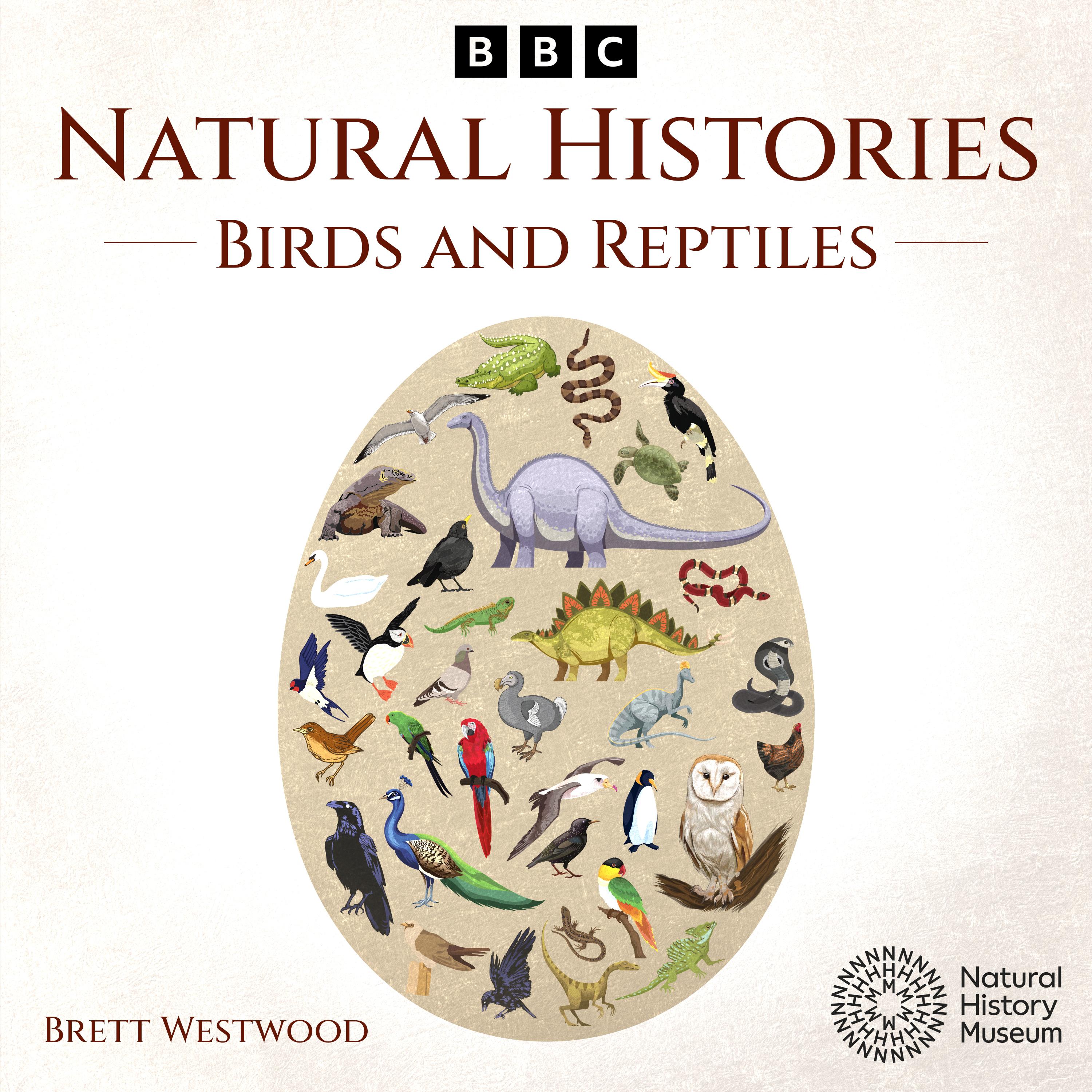 Natural Histories: Birds and Reptiles