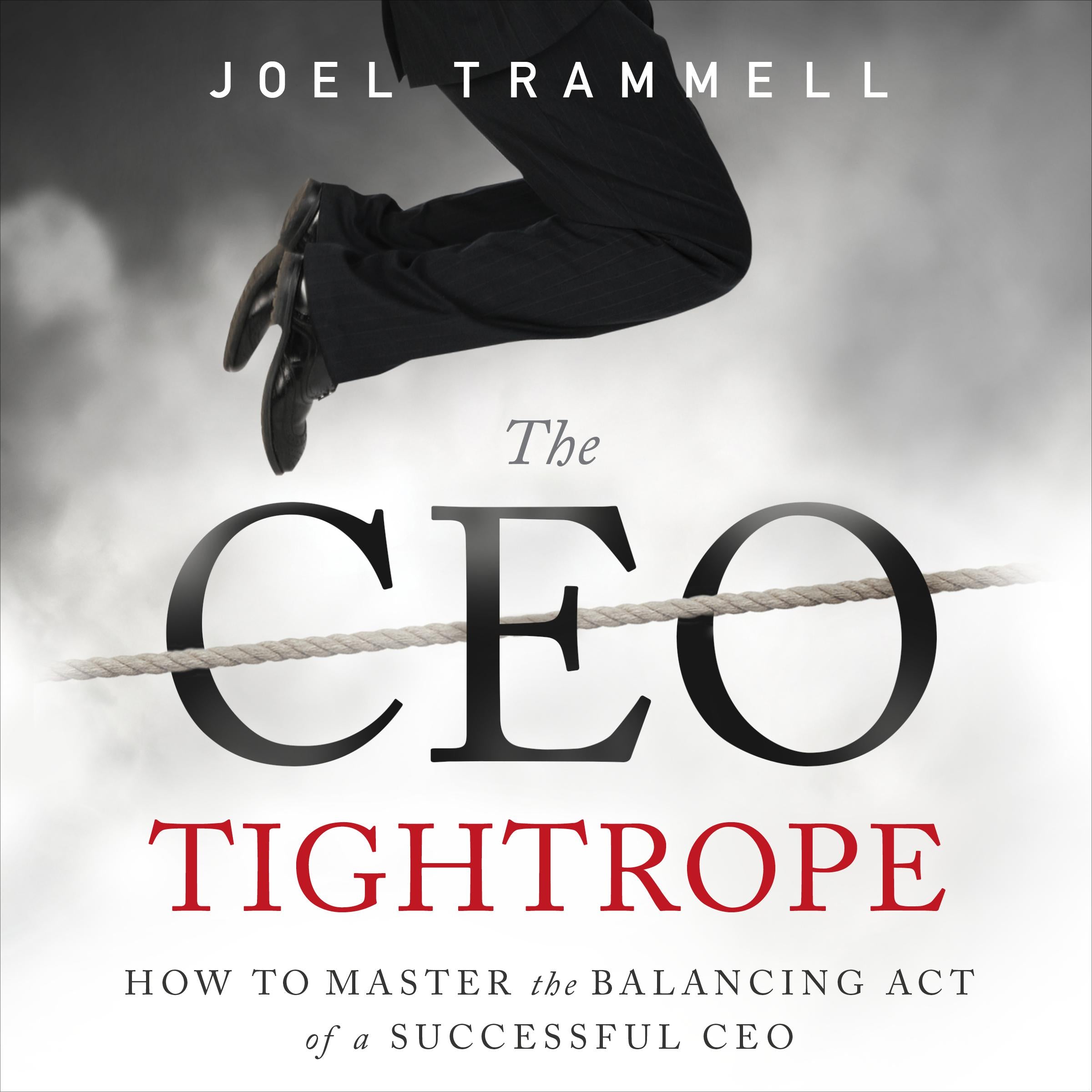 The CEO Tightrope