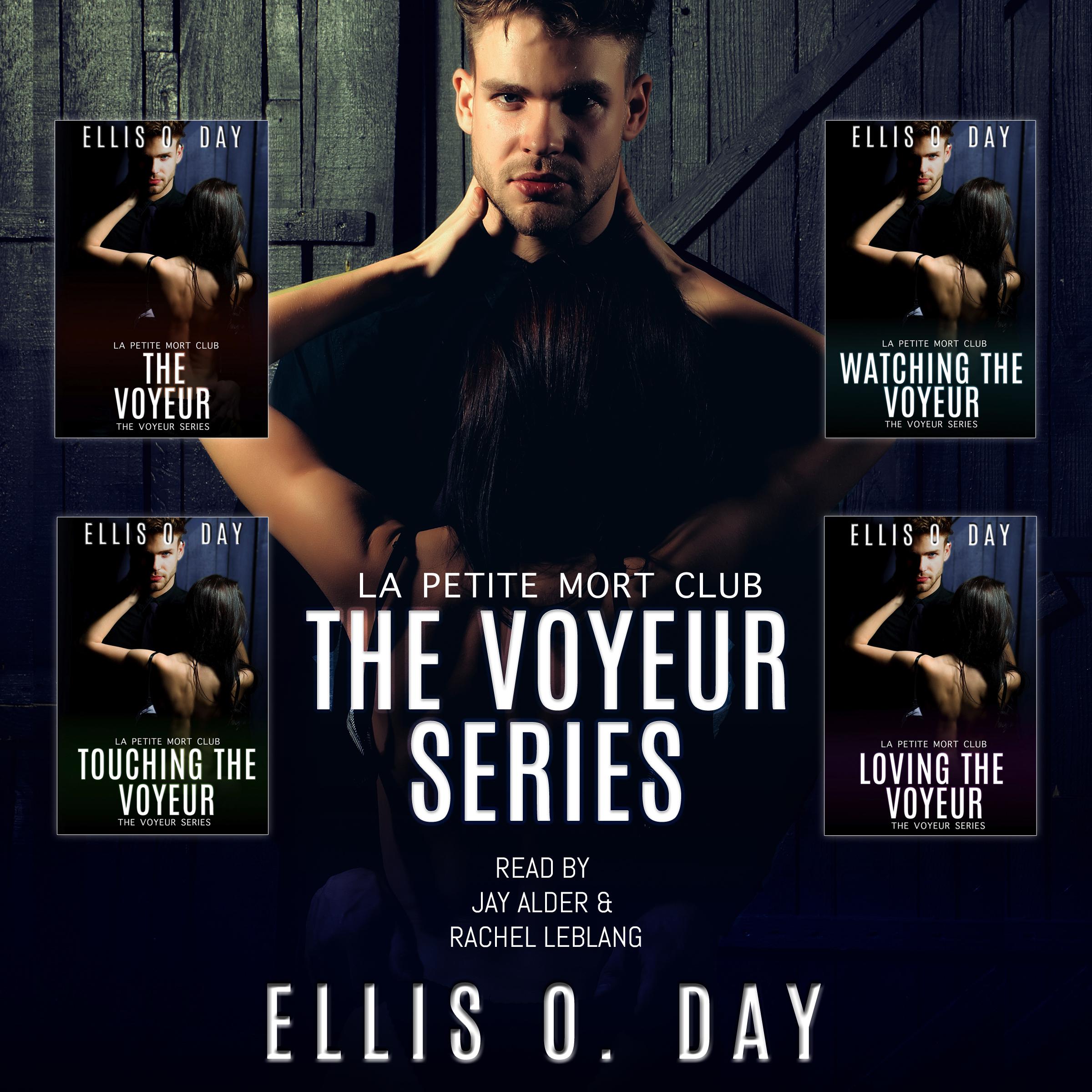 The Voyeur Series (books 1-4)