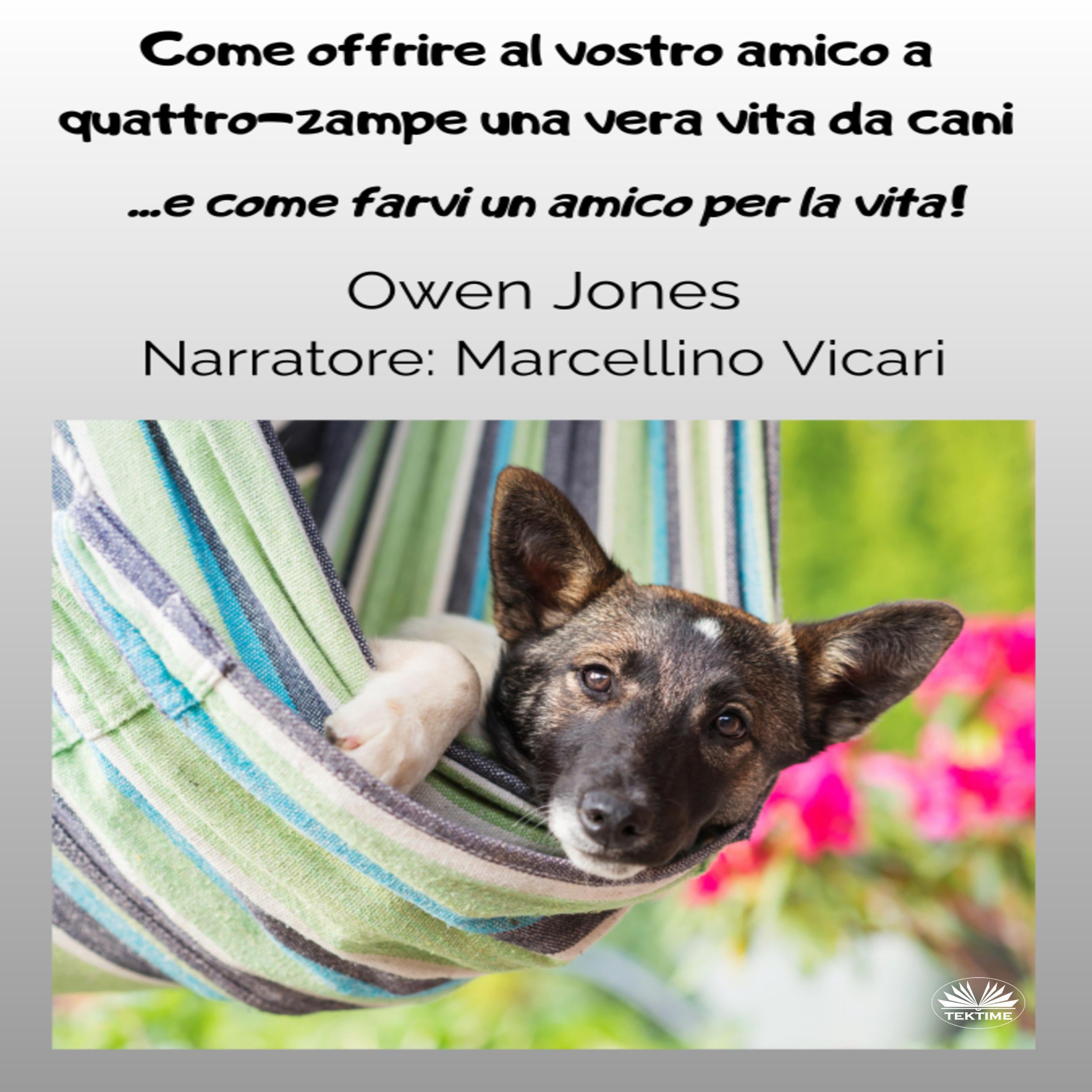 Come Offrire Al Vostro Amico A Quattro-zampe Una Vera Vita Da Cani
