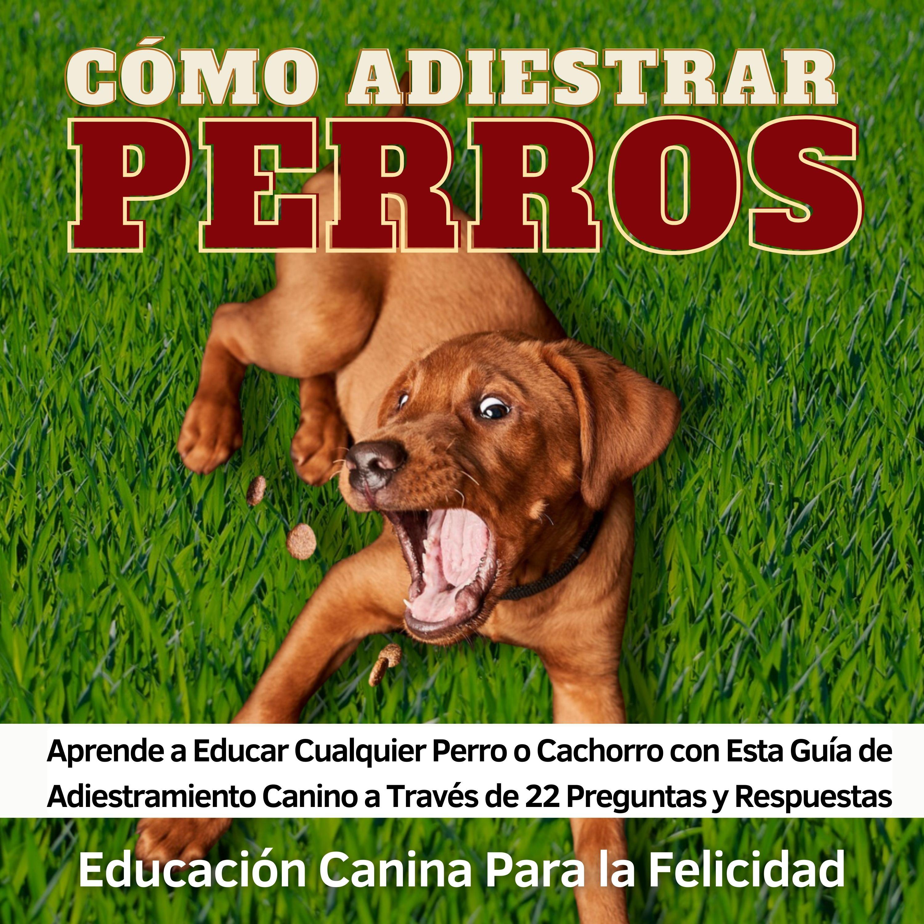 Cómo Adiestrar Perros