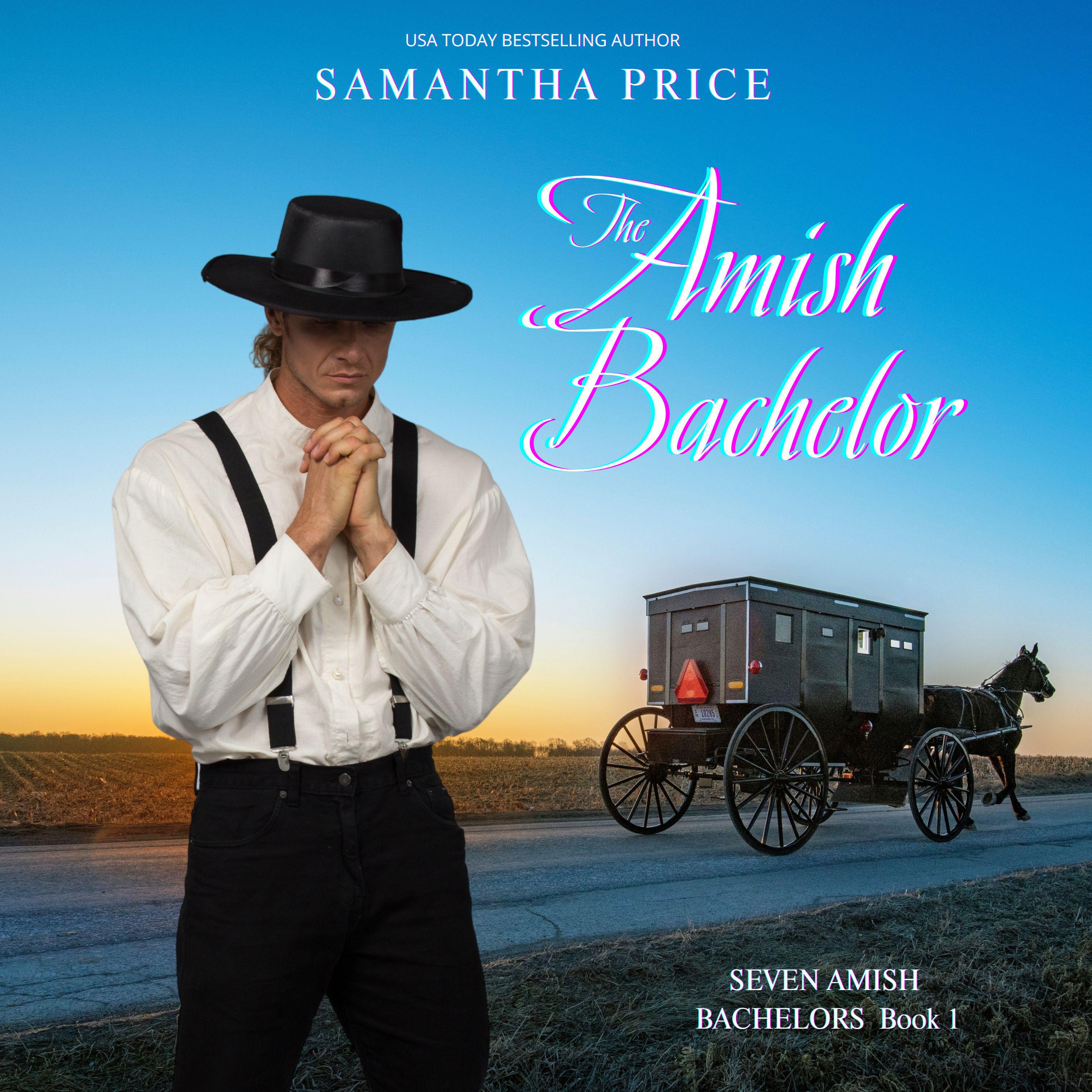 The Amish Bachelor