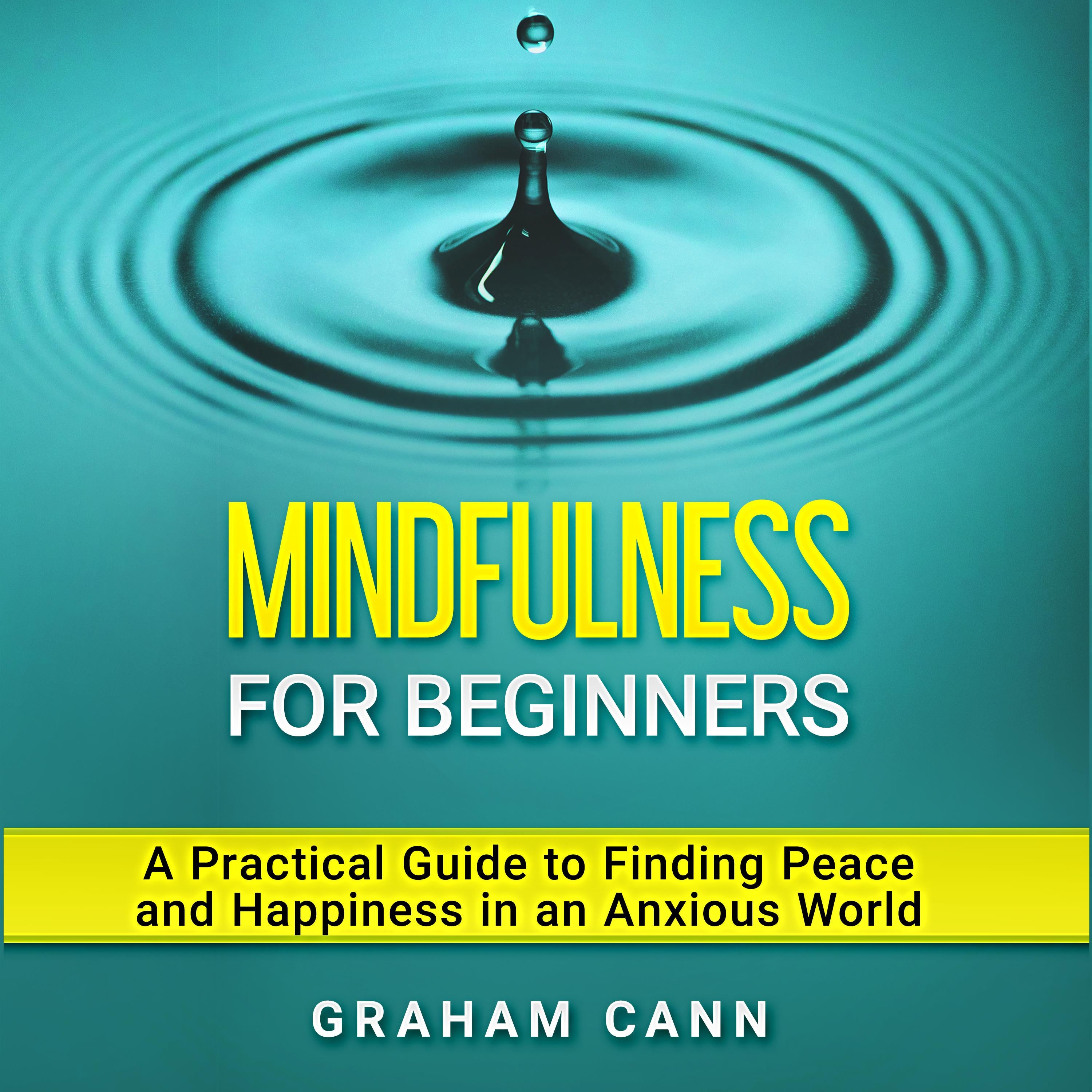 Mindfulness for Beginners