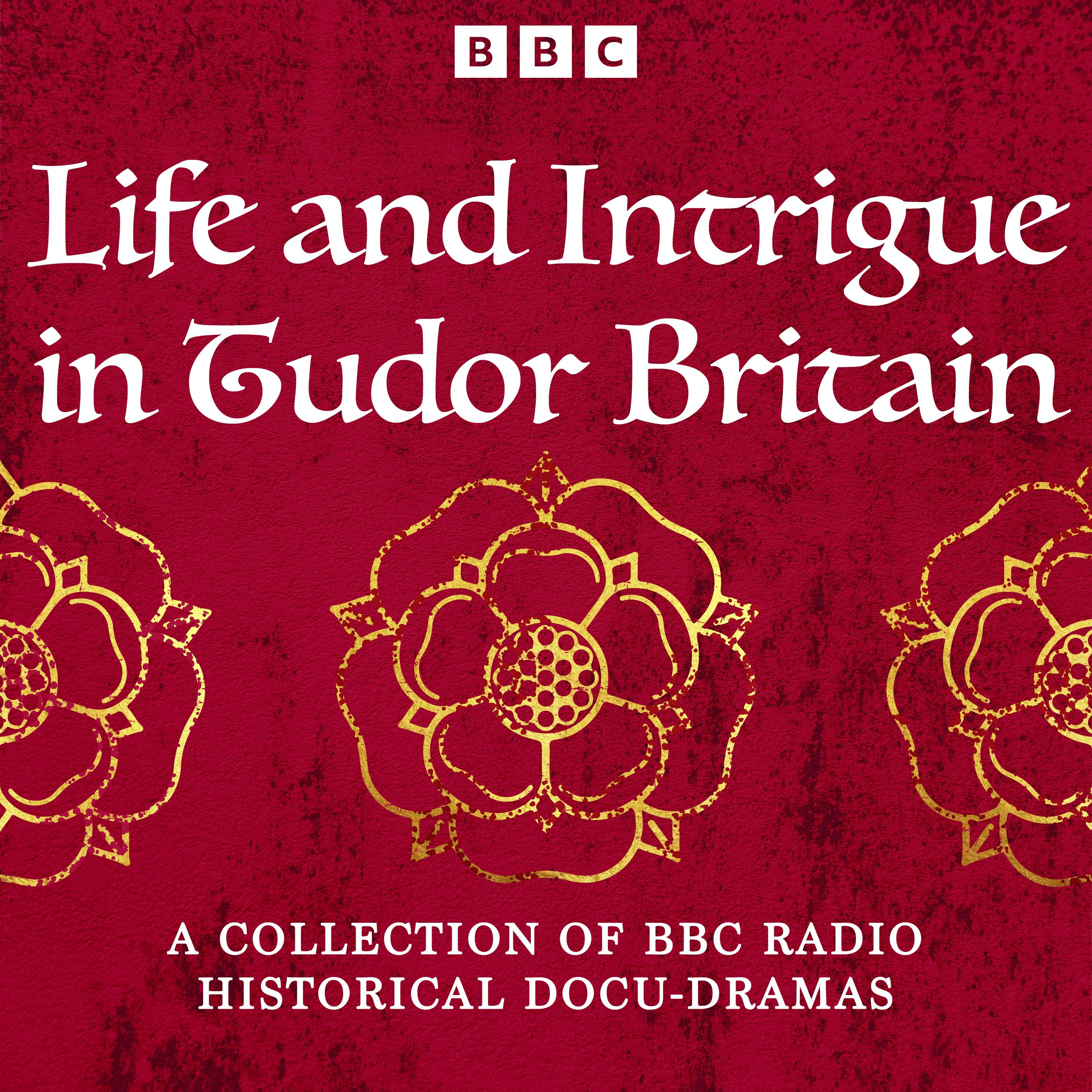 Life and Intrigue in Tudor Britain