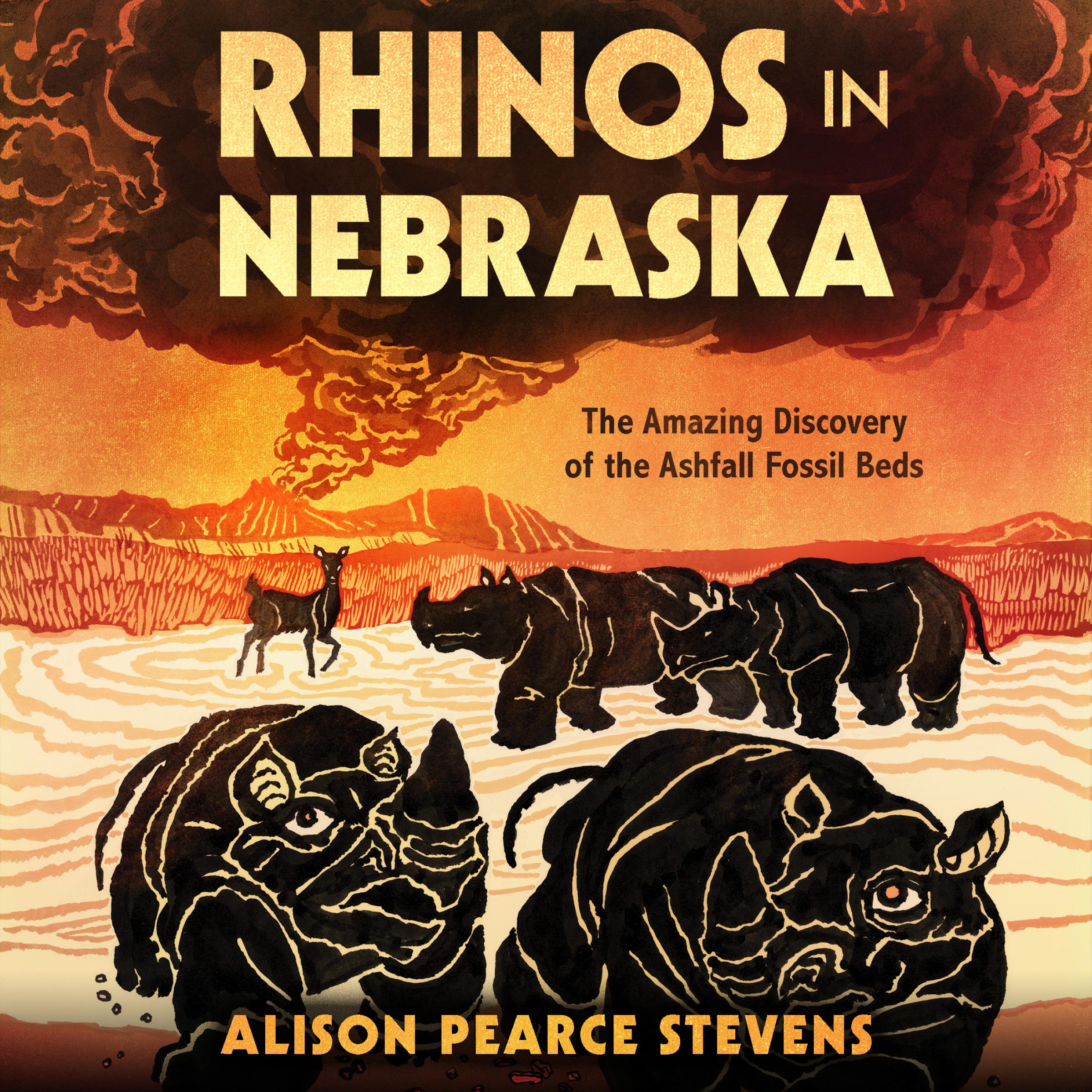 Rhinos in Nebraska