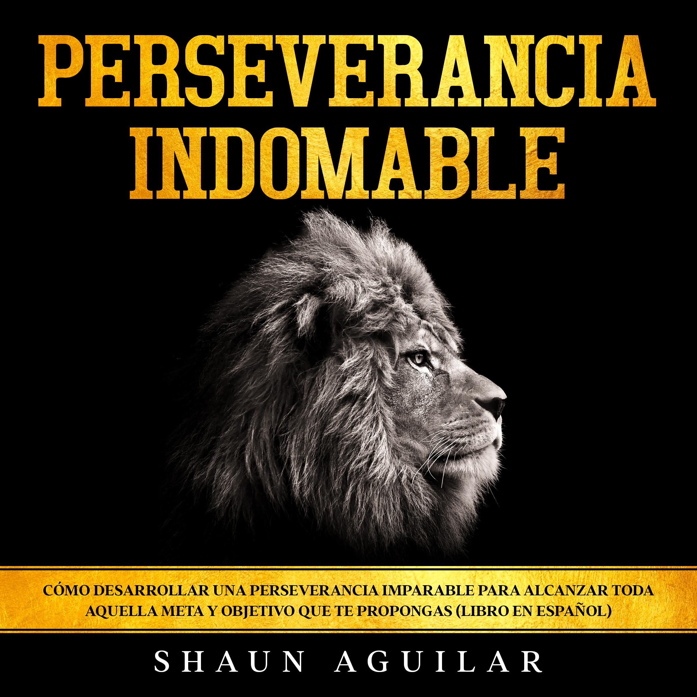 Perseverancia Indomable