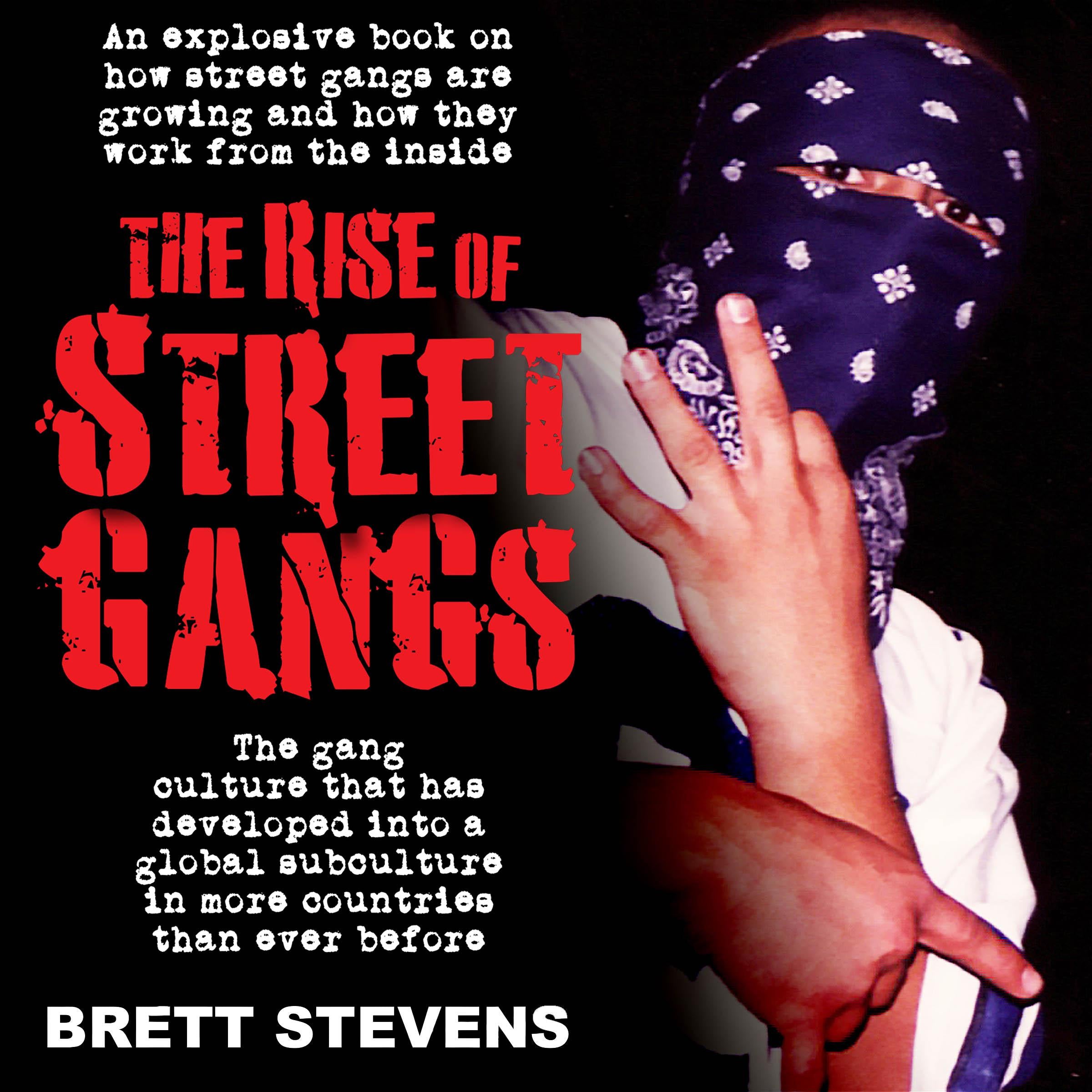 The Rise of Street Gangs